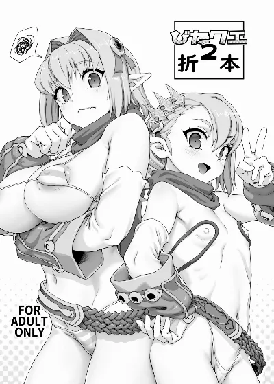 びたクエ2折本 (びたみんクエスト 2ND ATTRACT)
