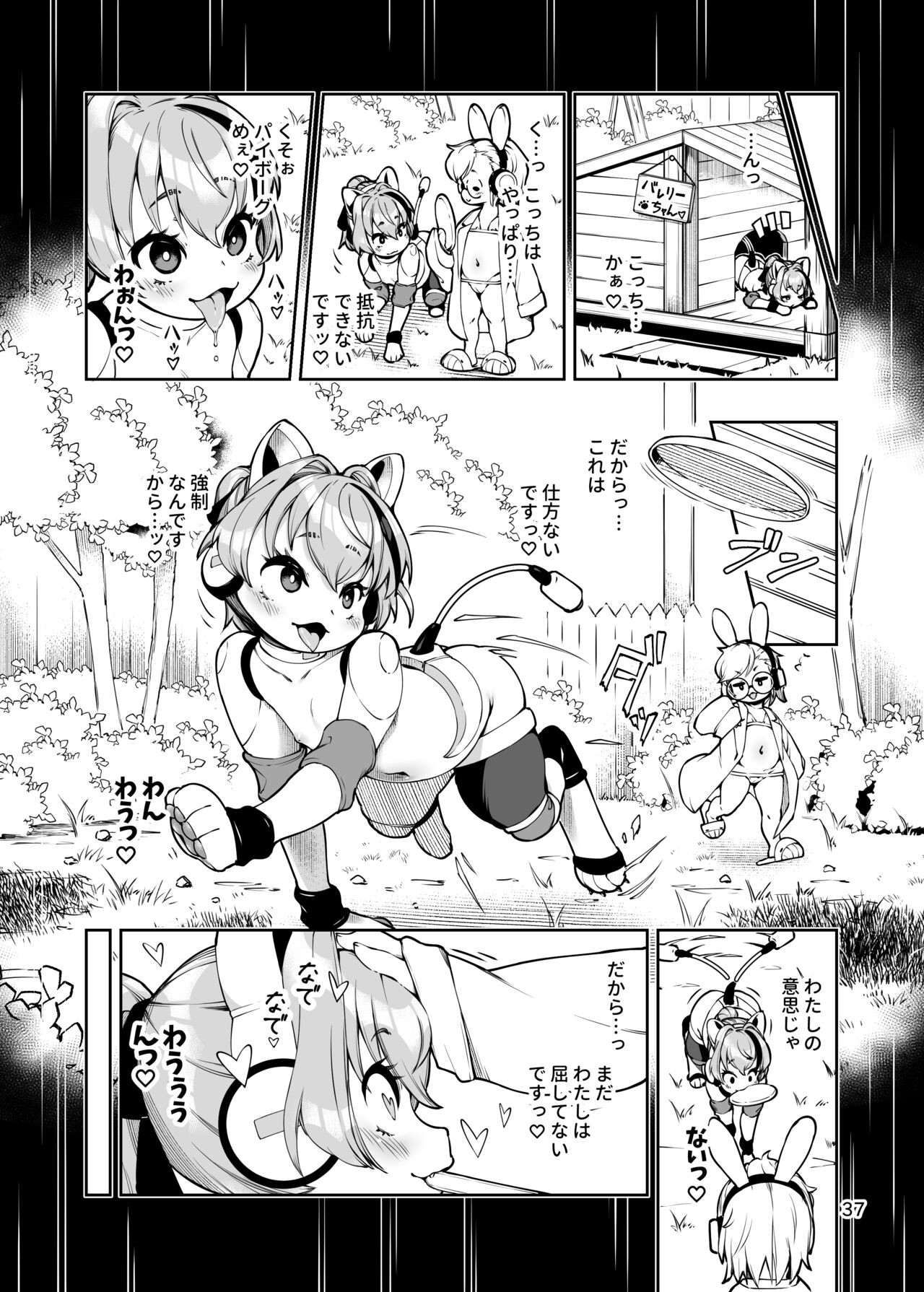 Page 37