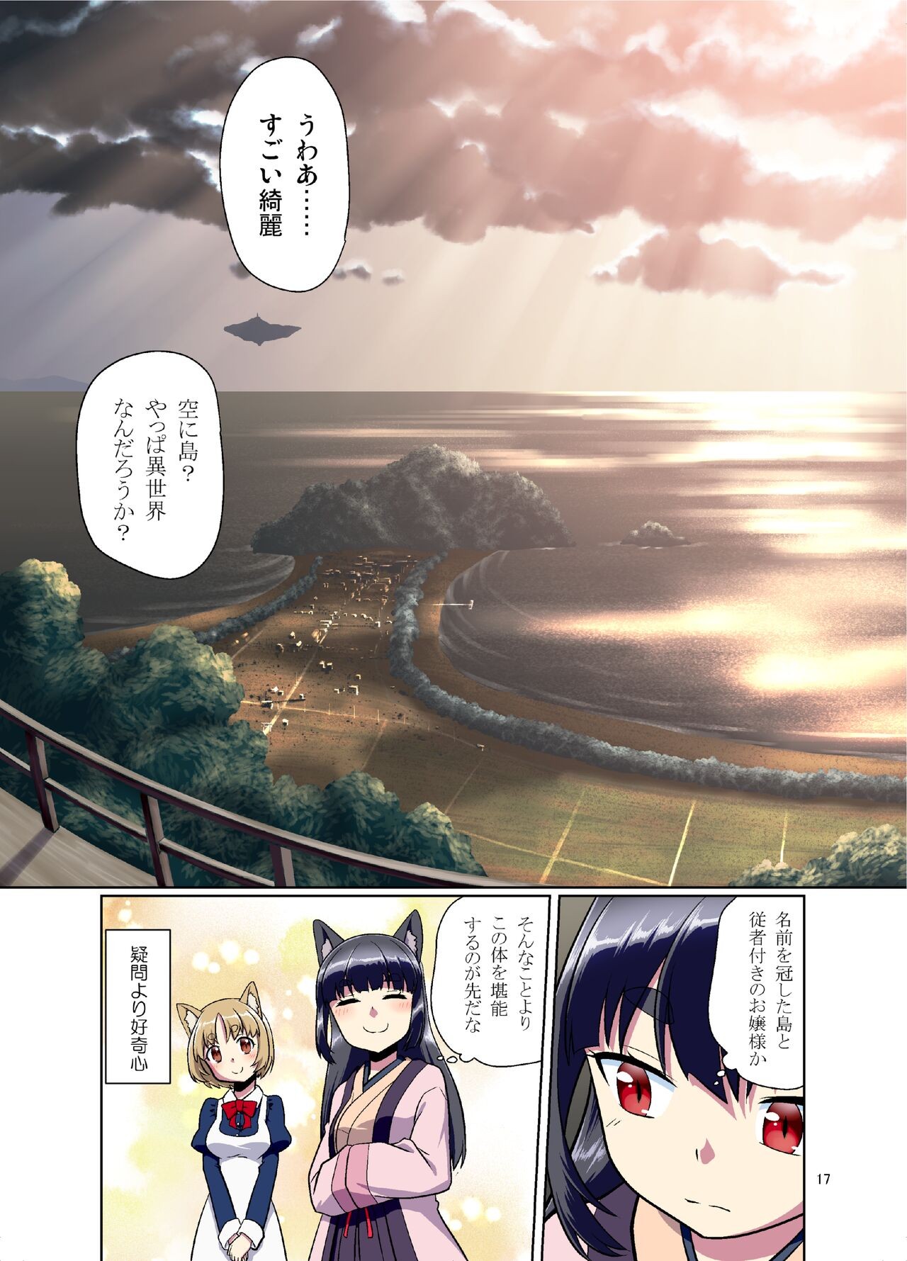 Page 17