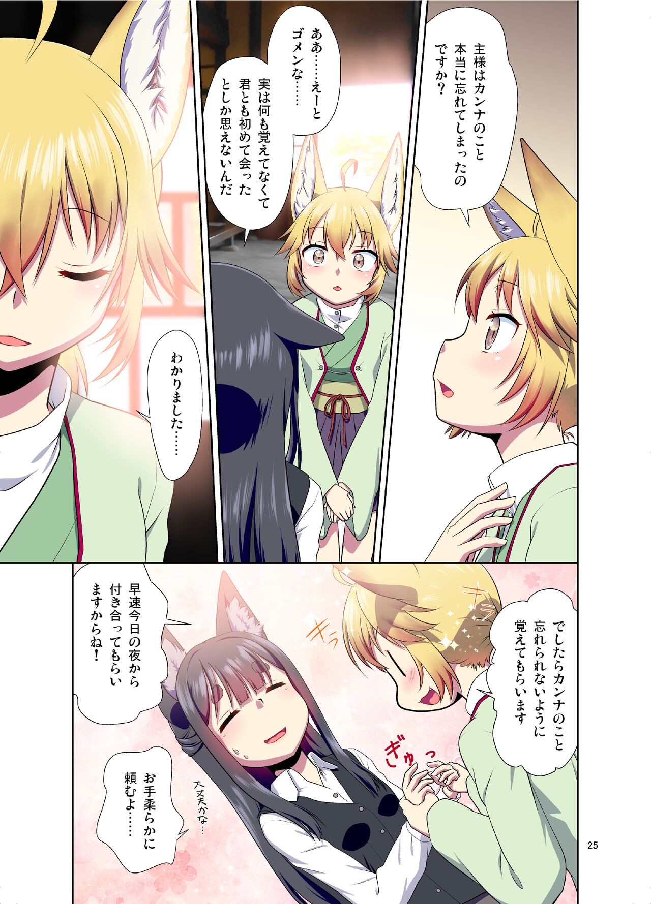 Page 25