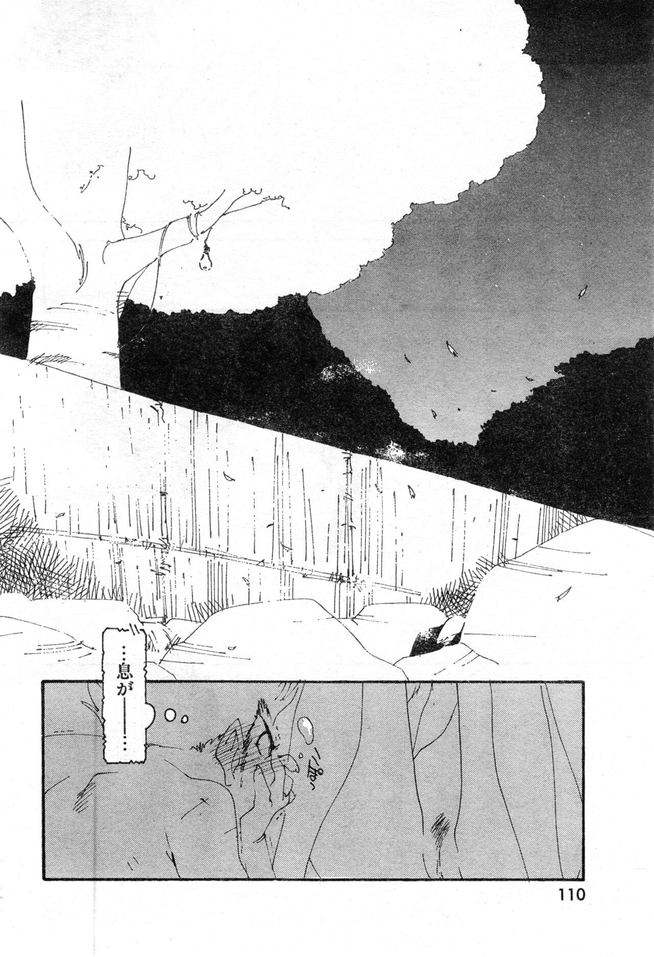 Page 110