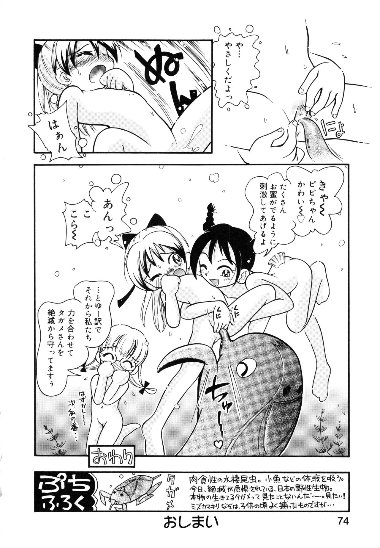 Page 73