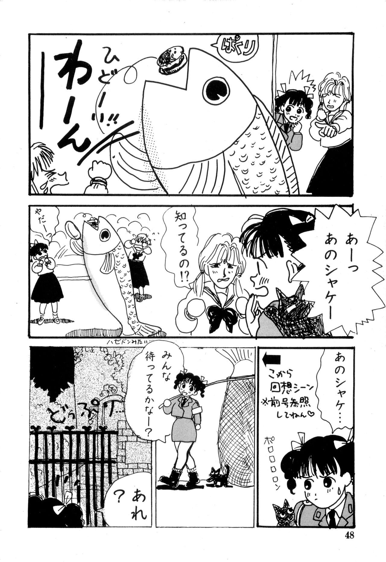 Page 48
