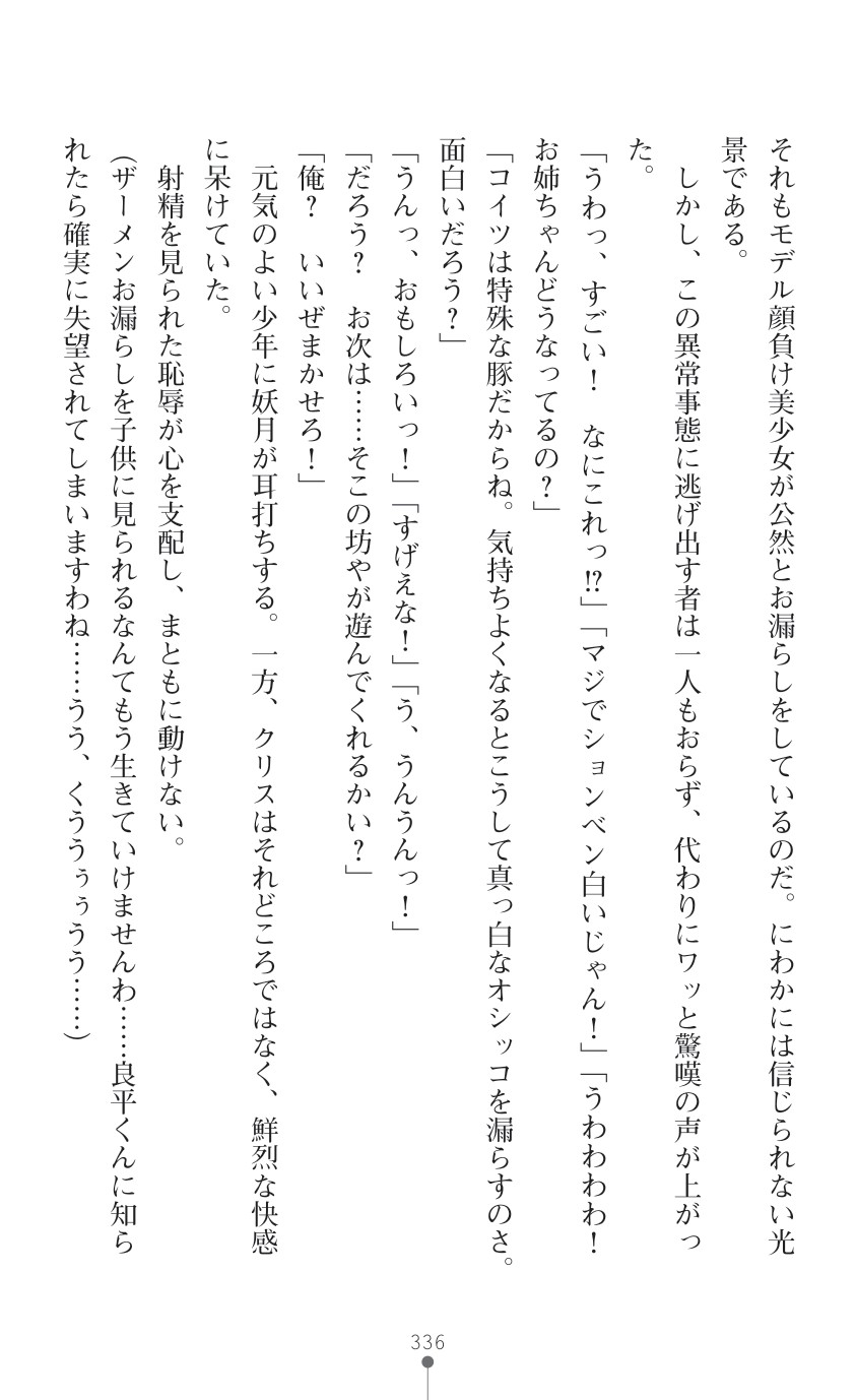 Page 338
