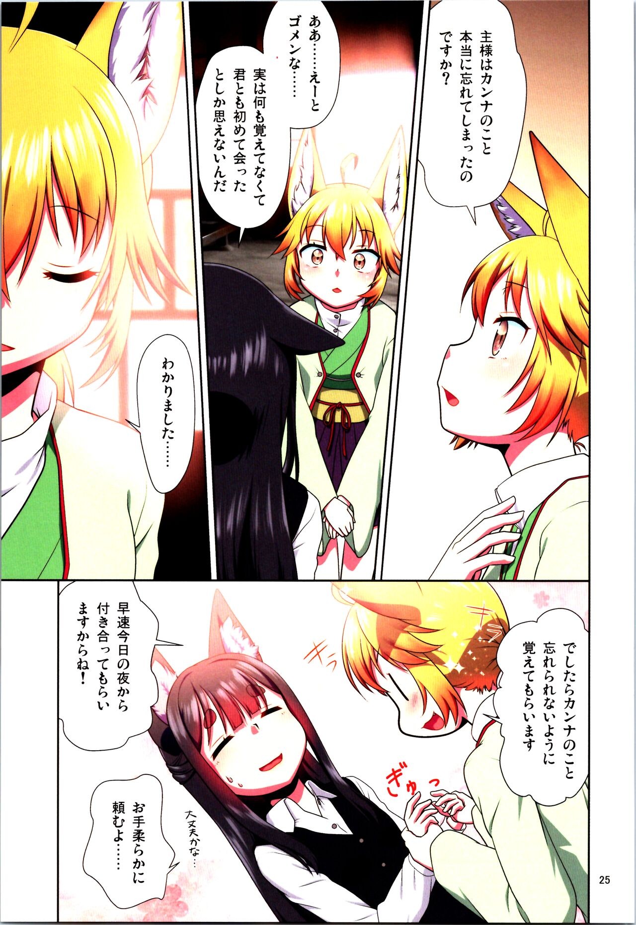 Page 25