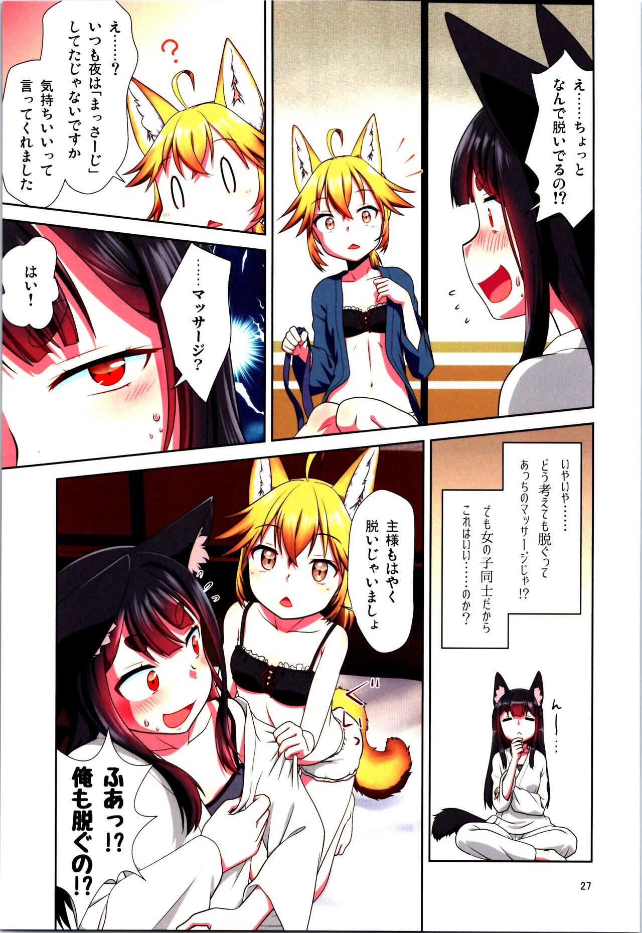 Page 27