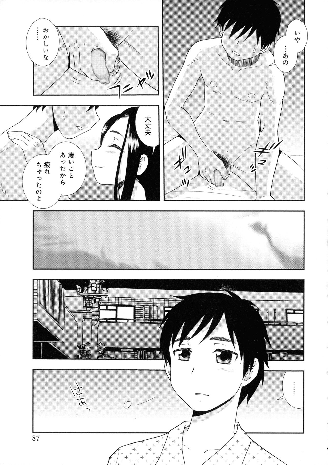 Page 87