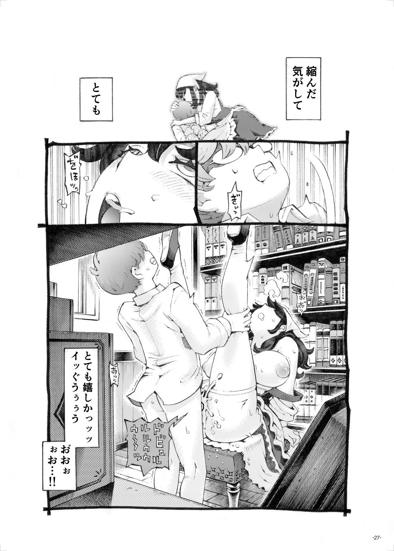 Page 27