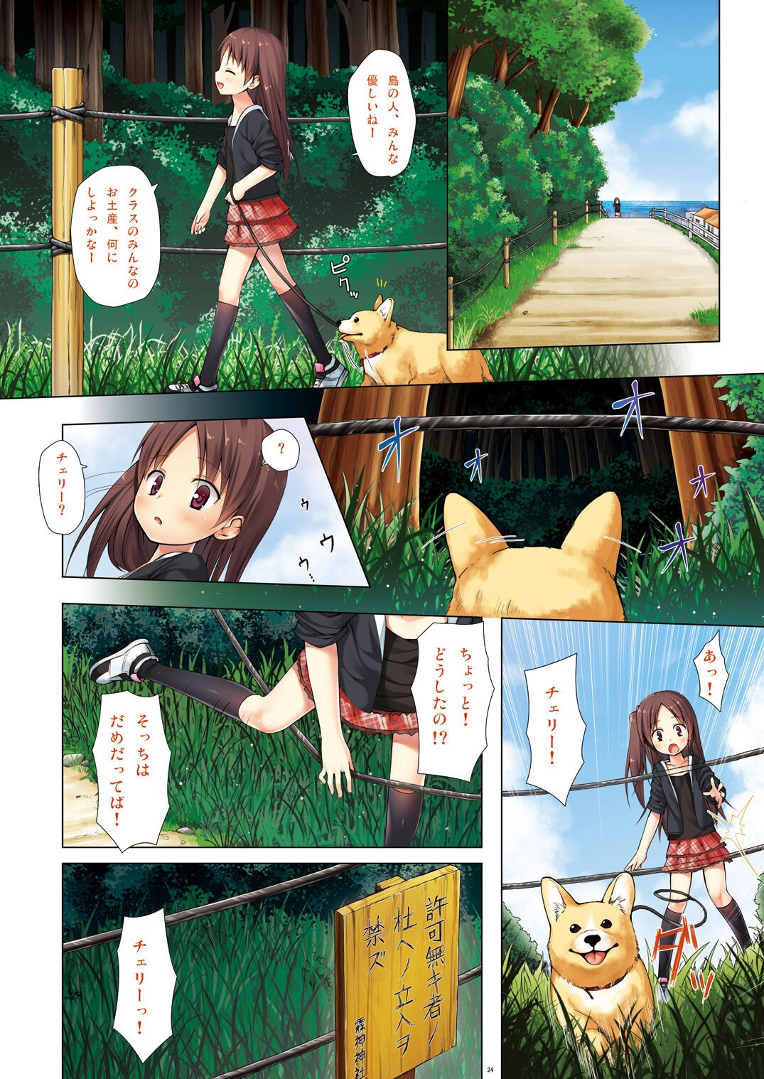 Page 3