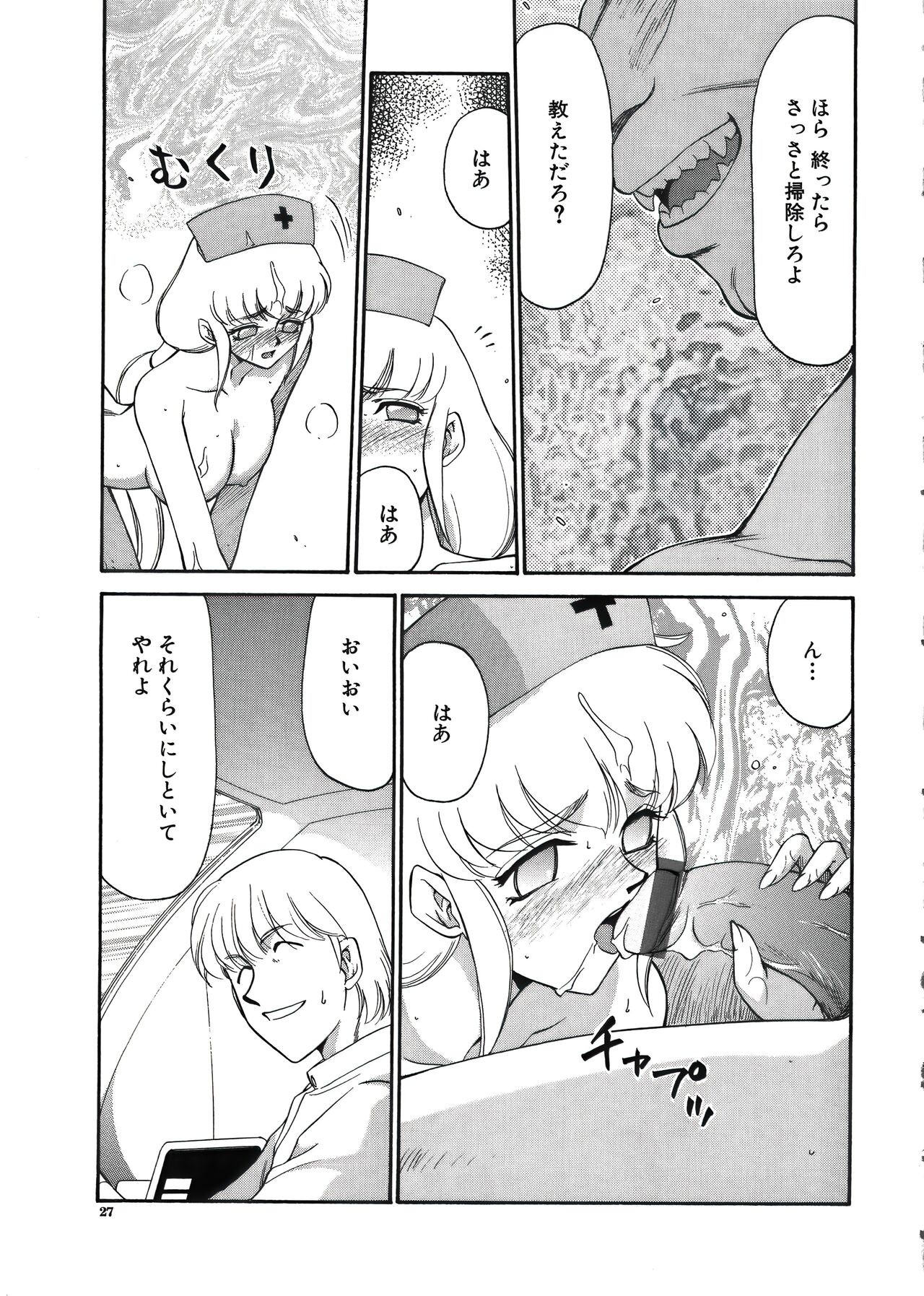 Page 29