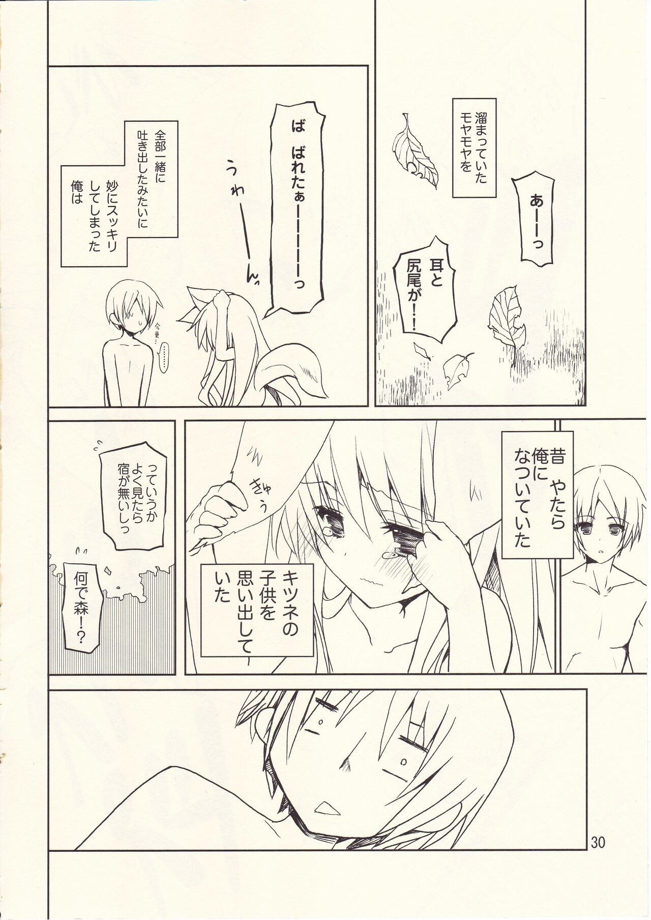 Page 29