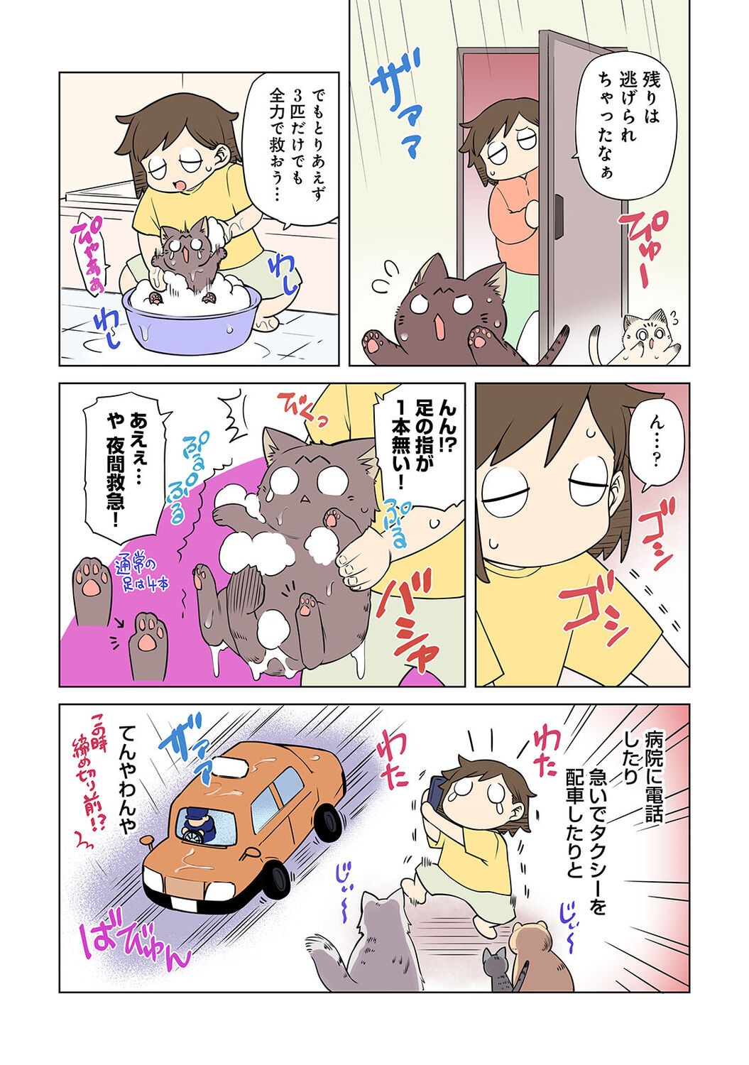 Page 301