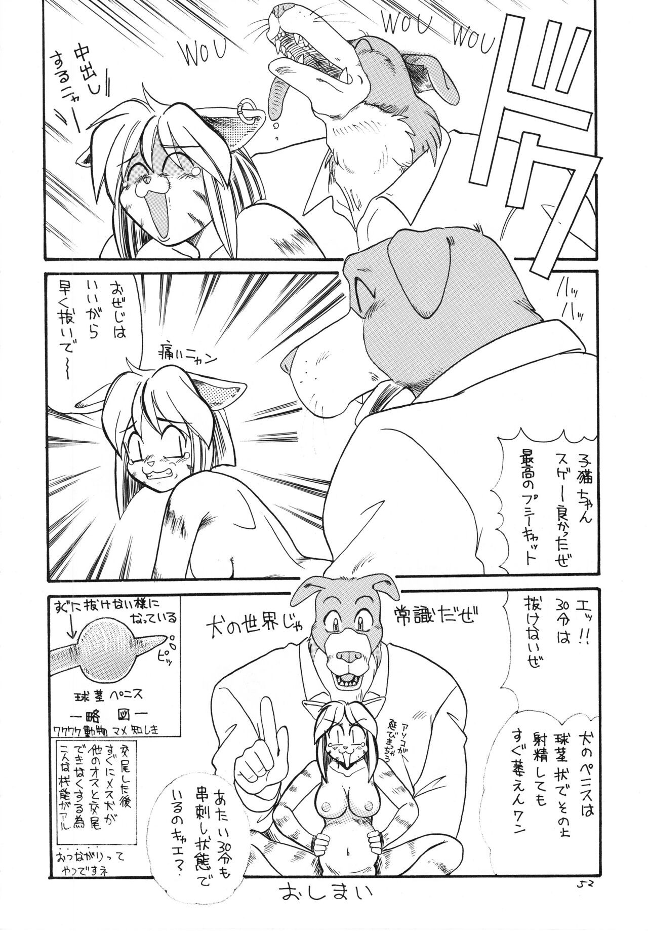 Page 51