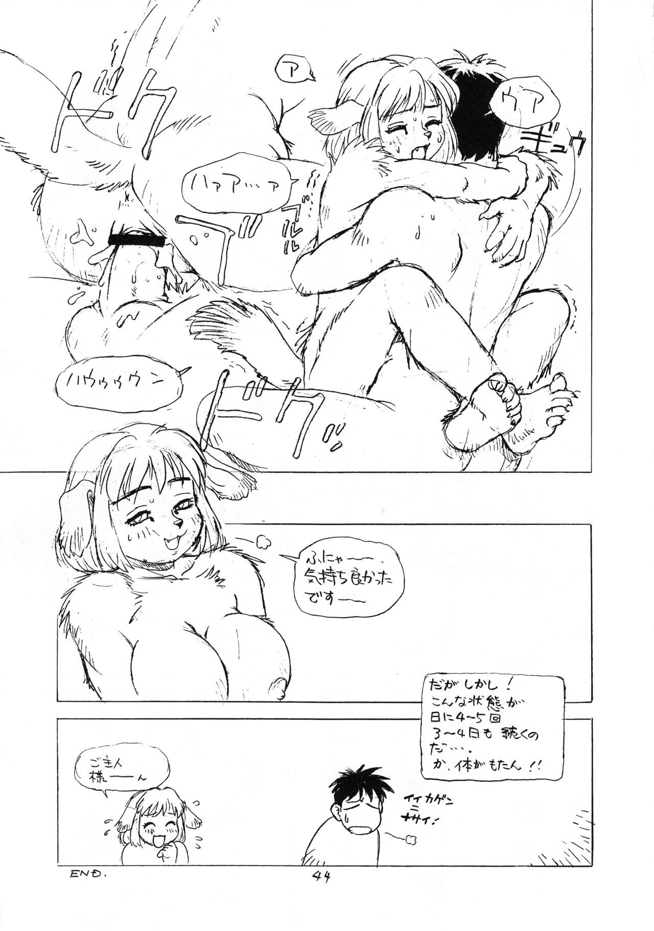 Page 43