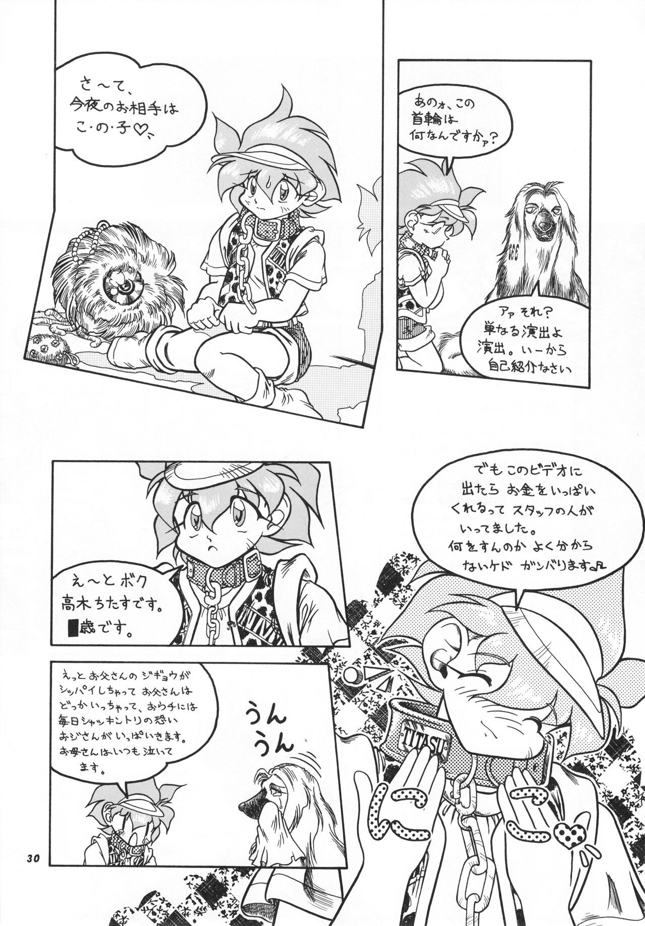 Page 29