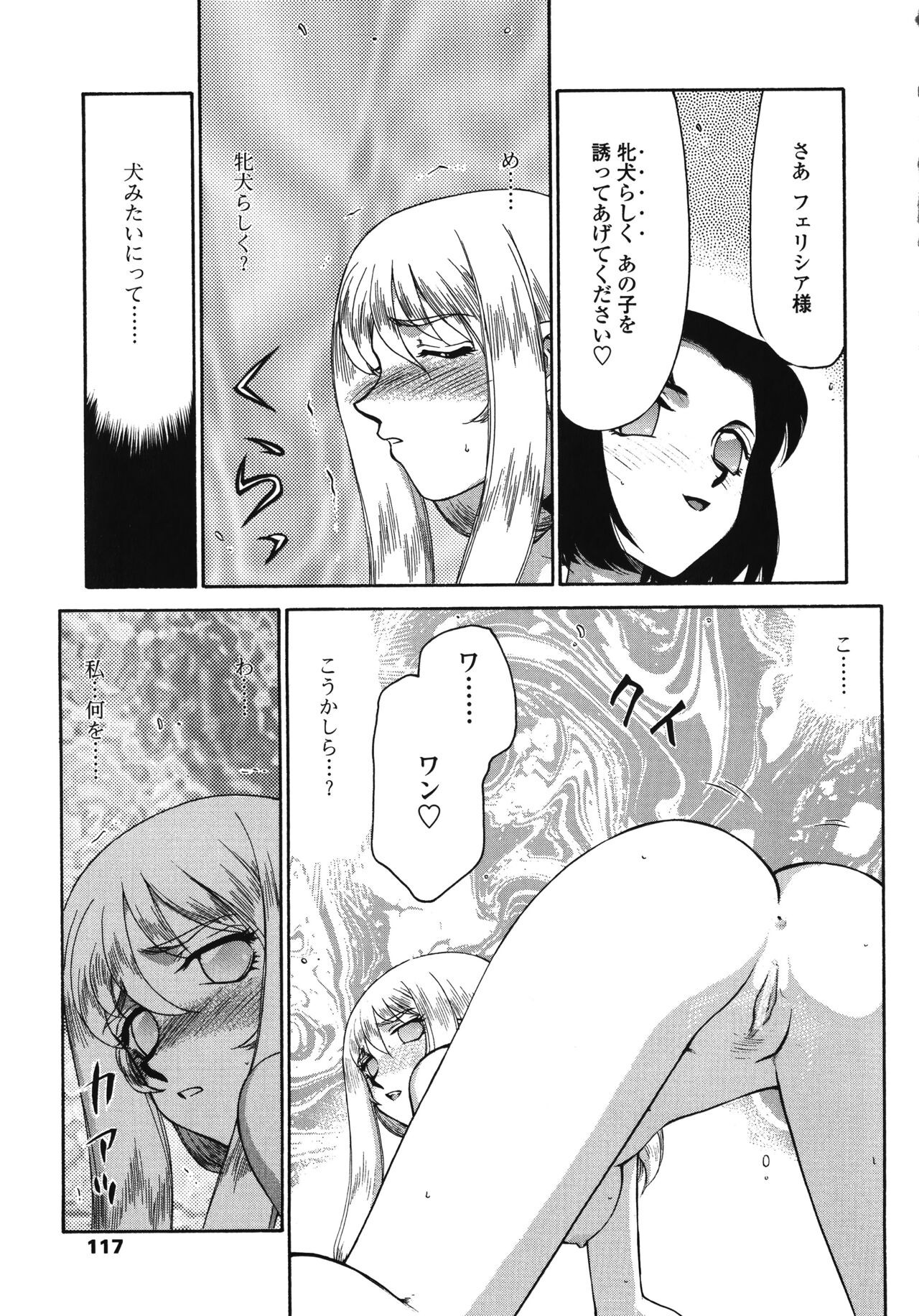 Page 117