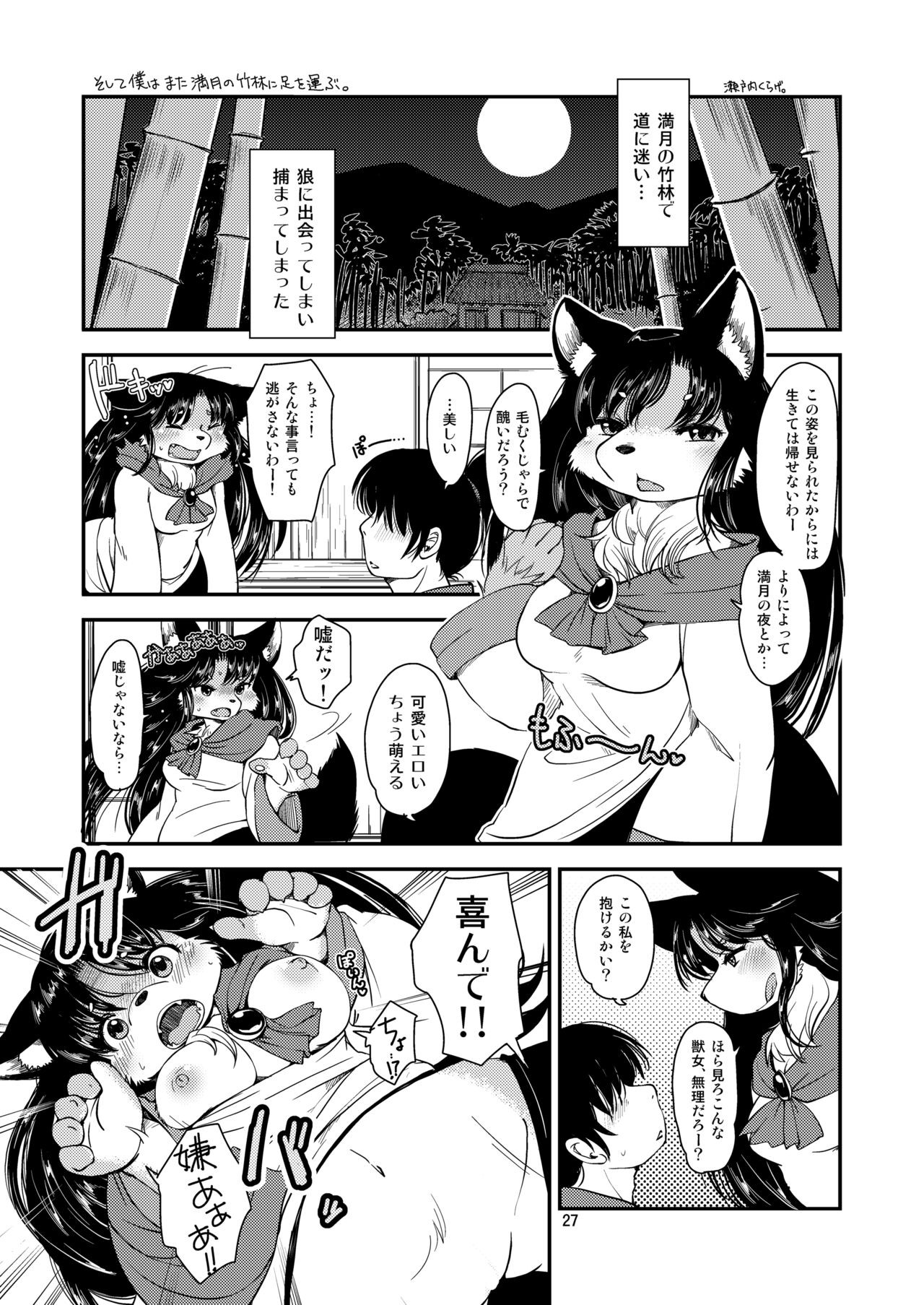 Page 26