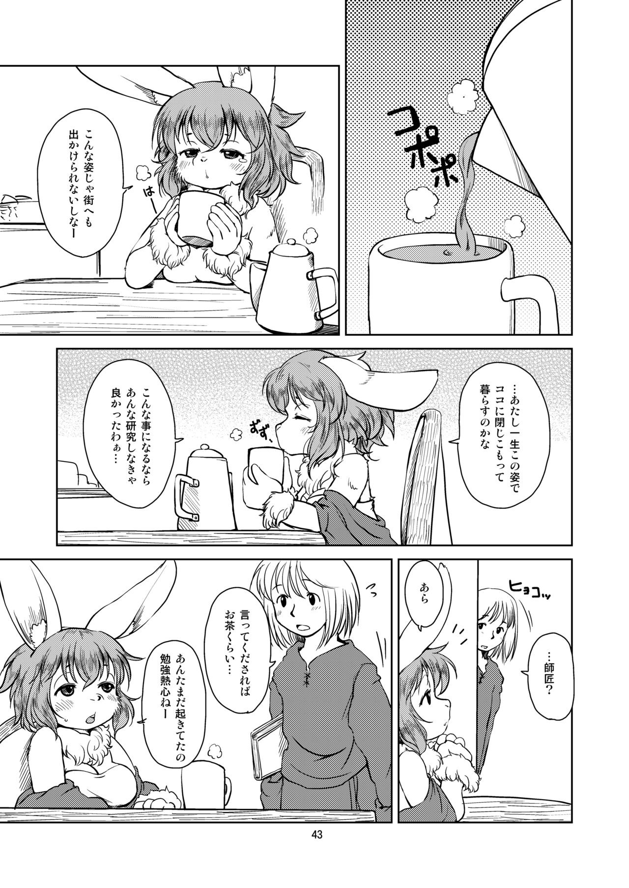Page 42