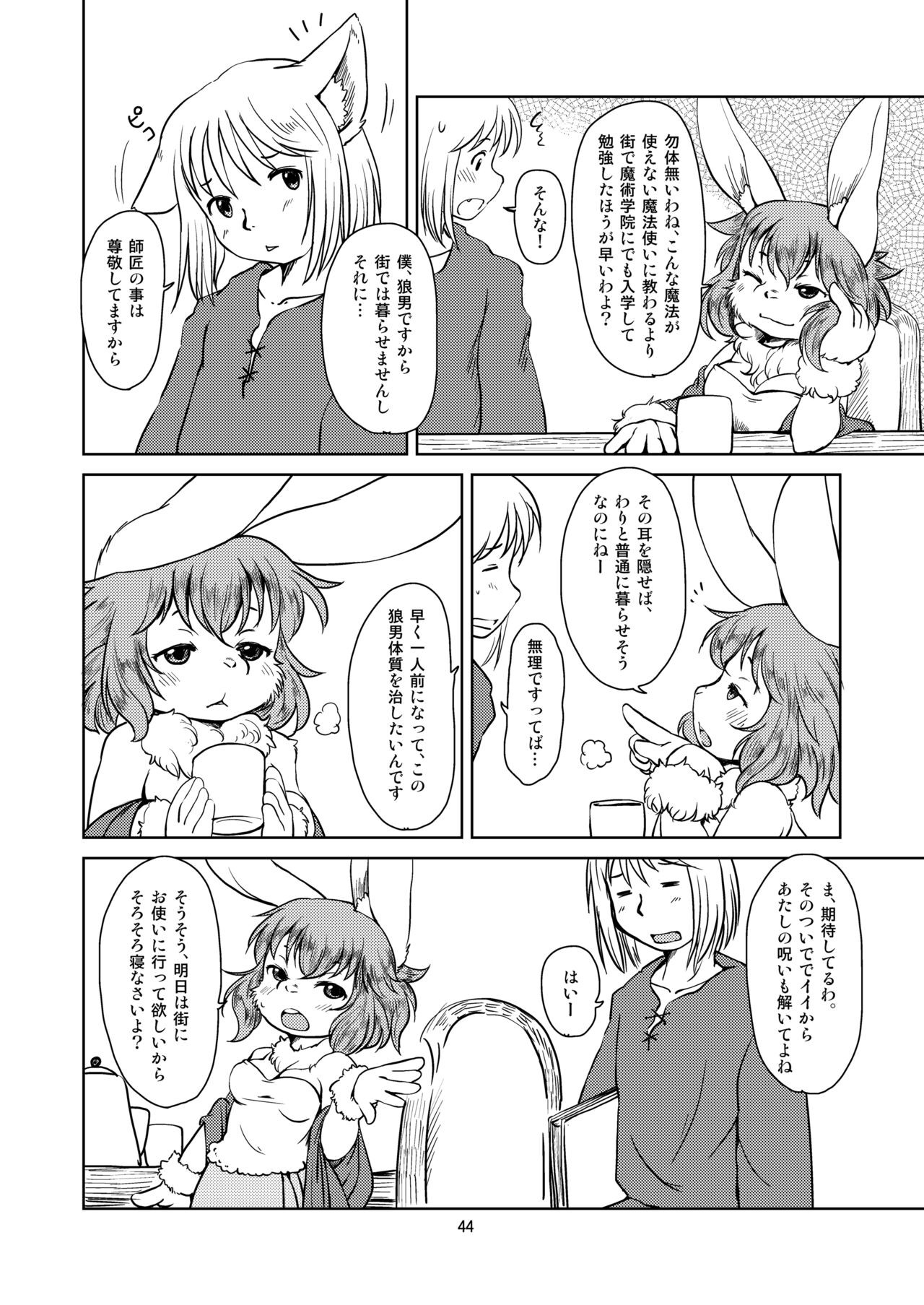 Page 43