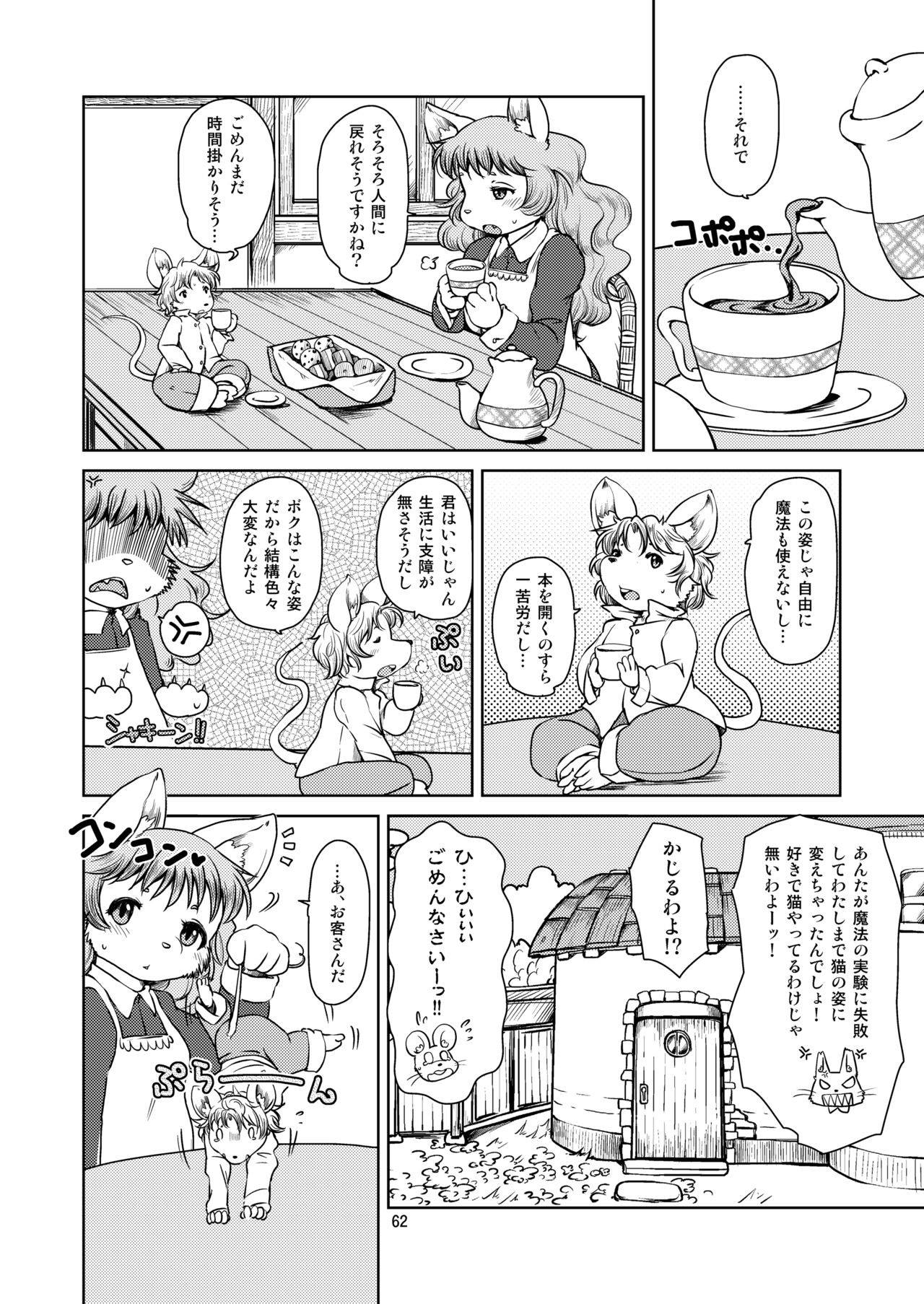 Page 61