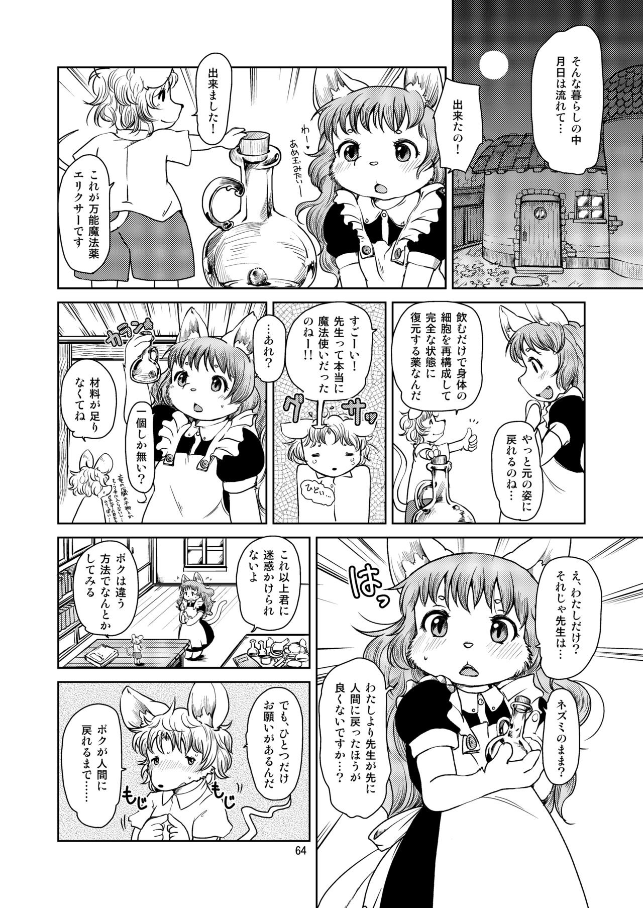 Page 63