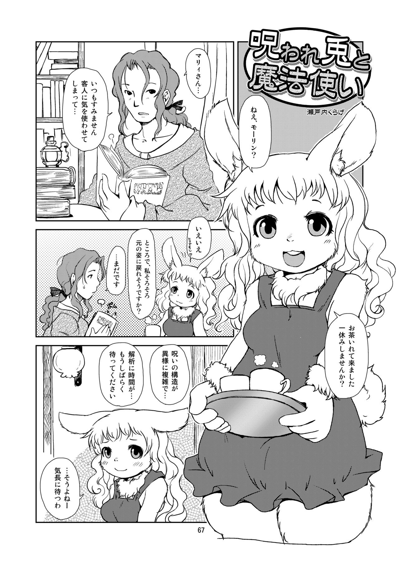 Page 66