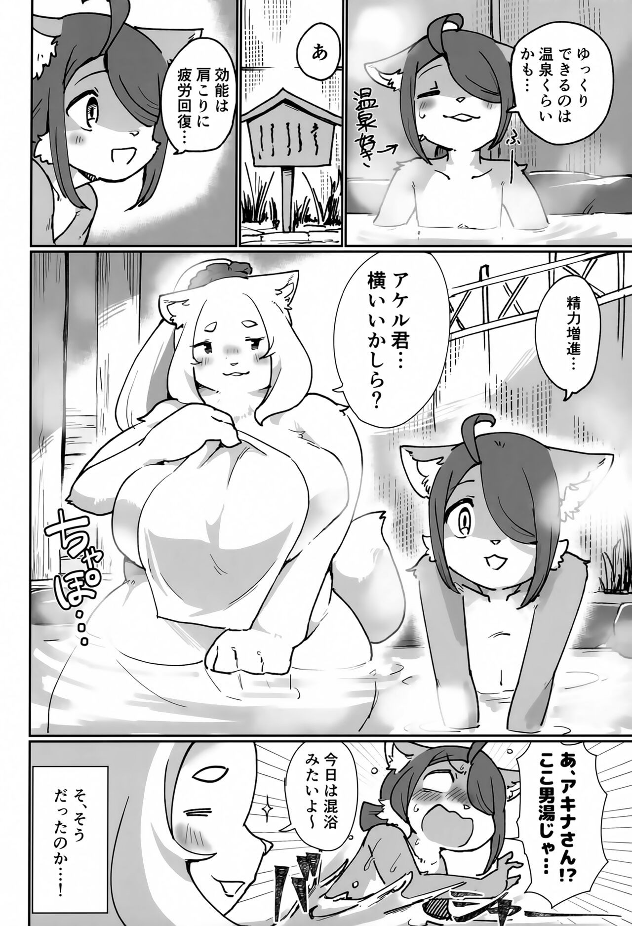 Page 63
