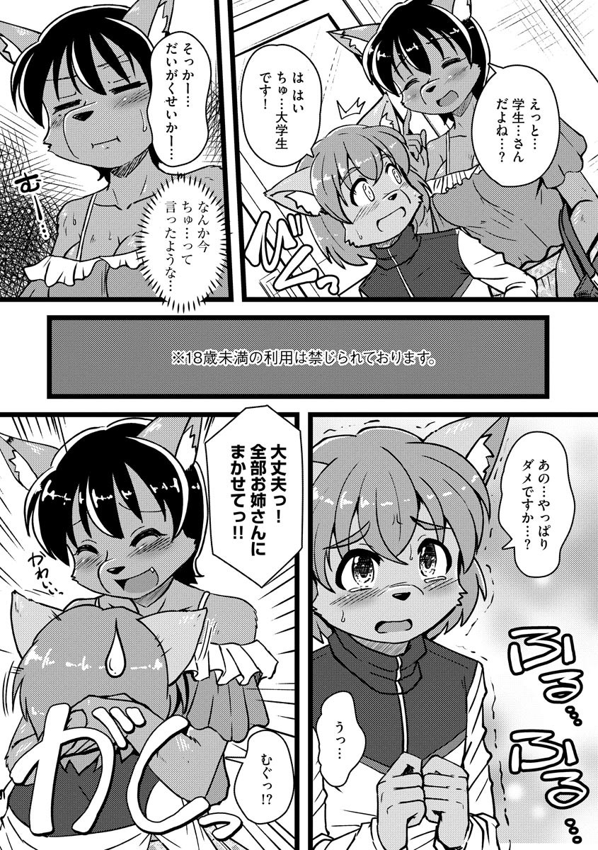 Page 211