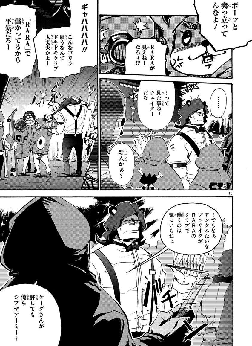 Page 13