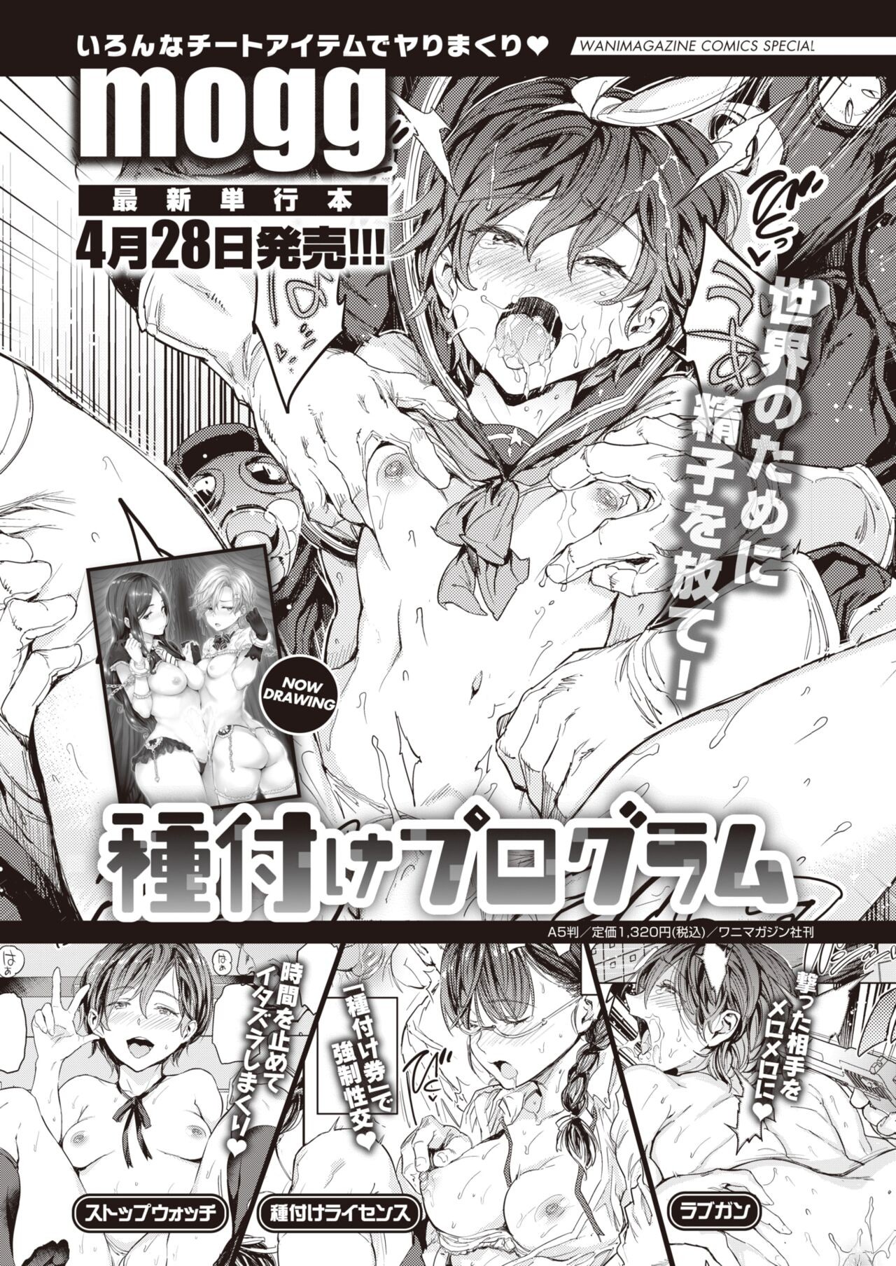 Page 43