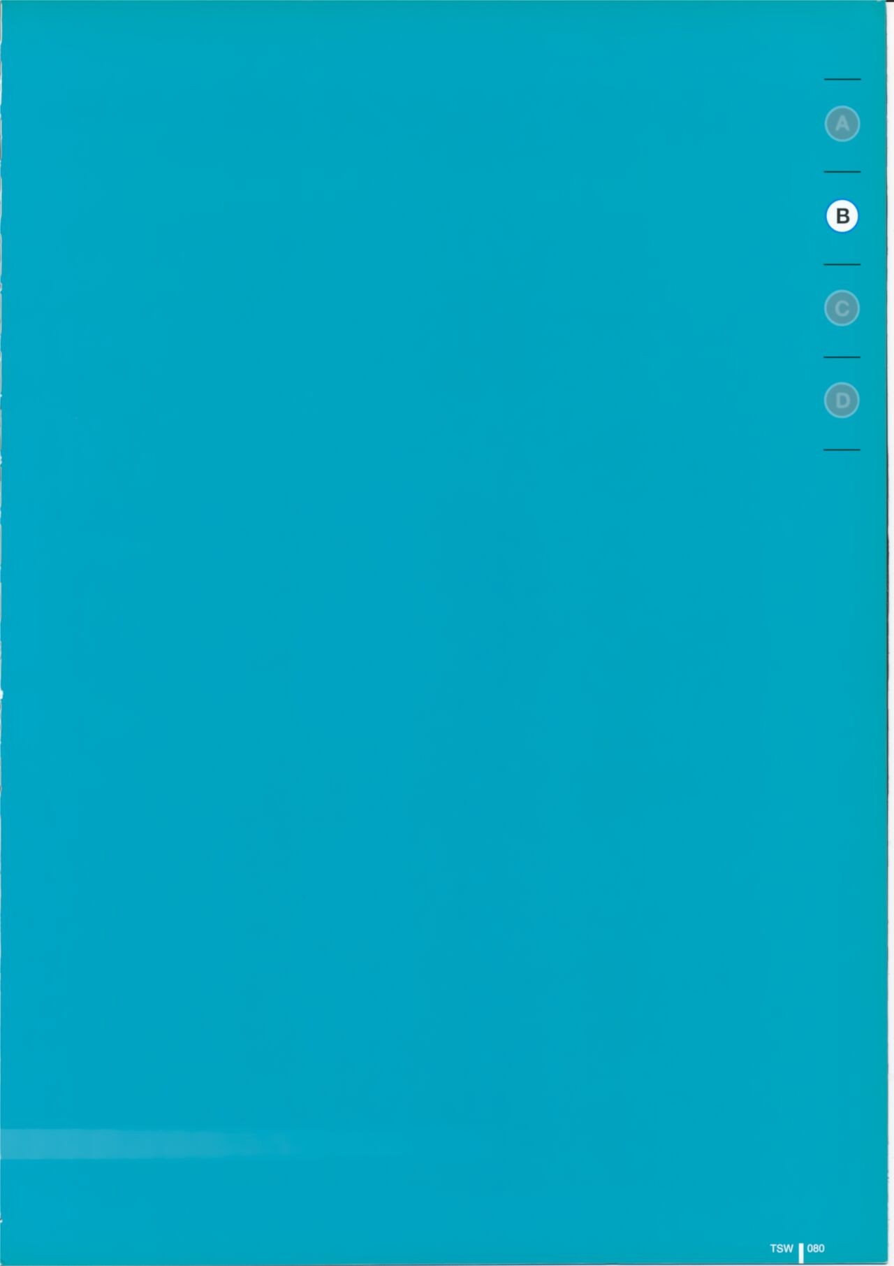 Page 80
