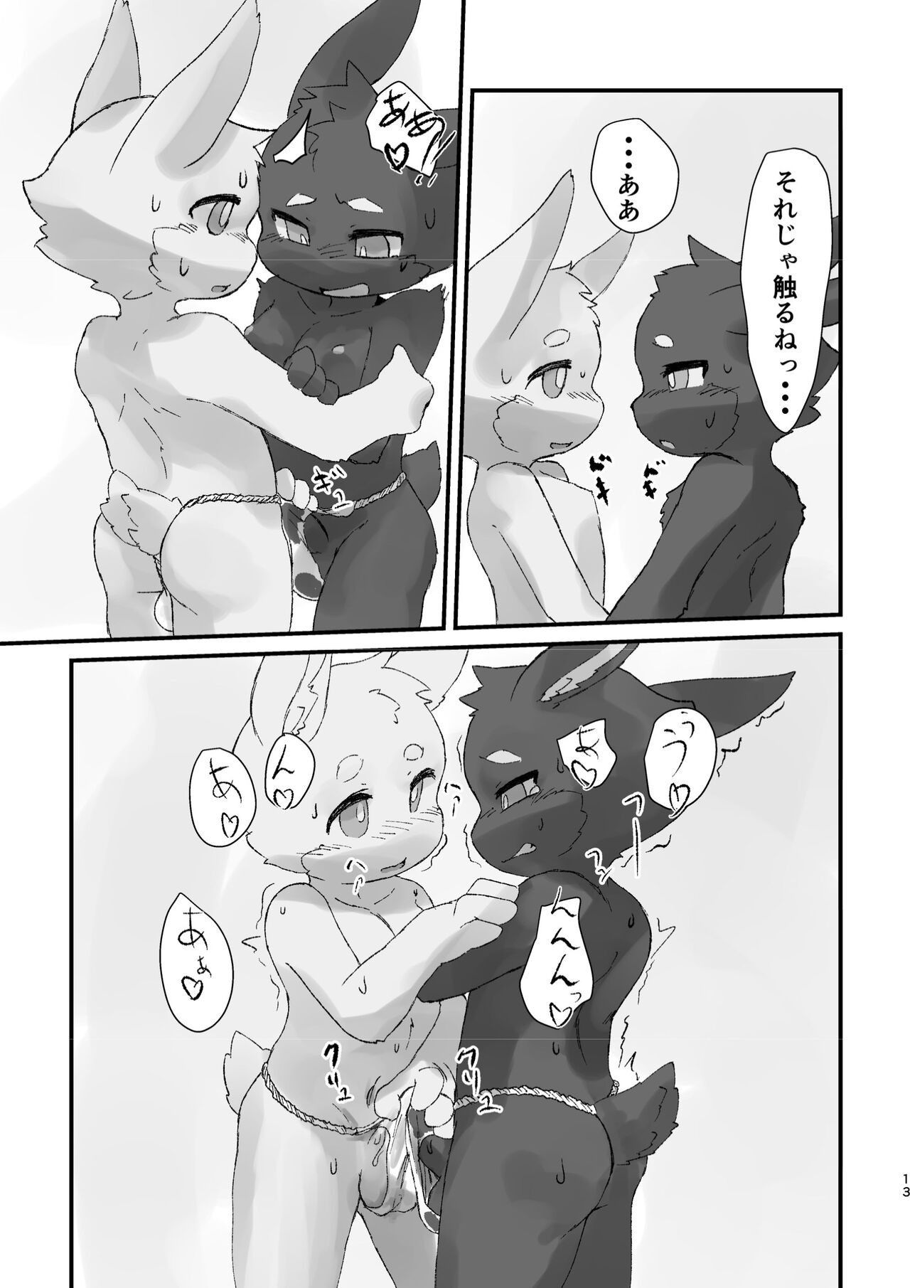 Page 13