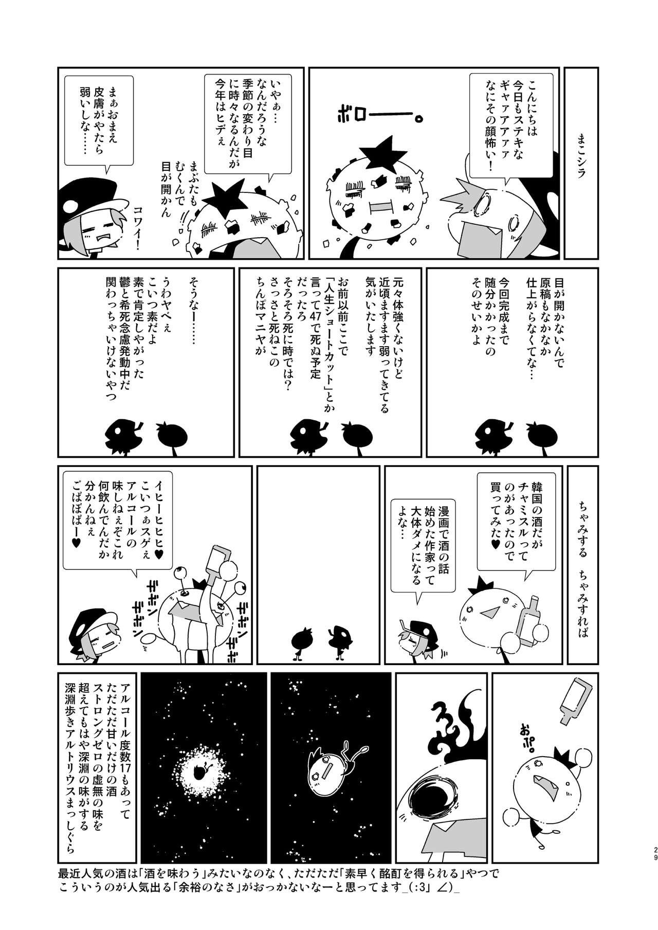 Page 29