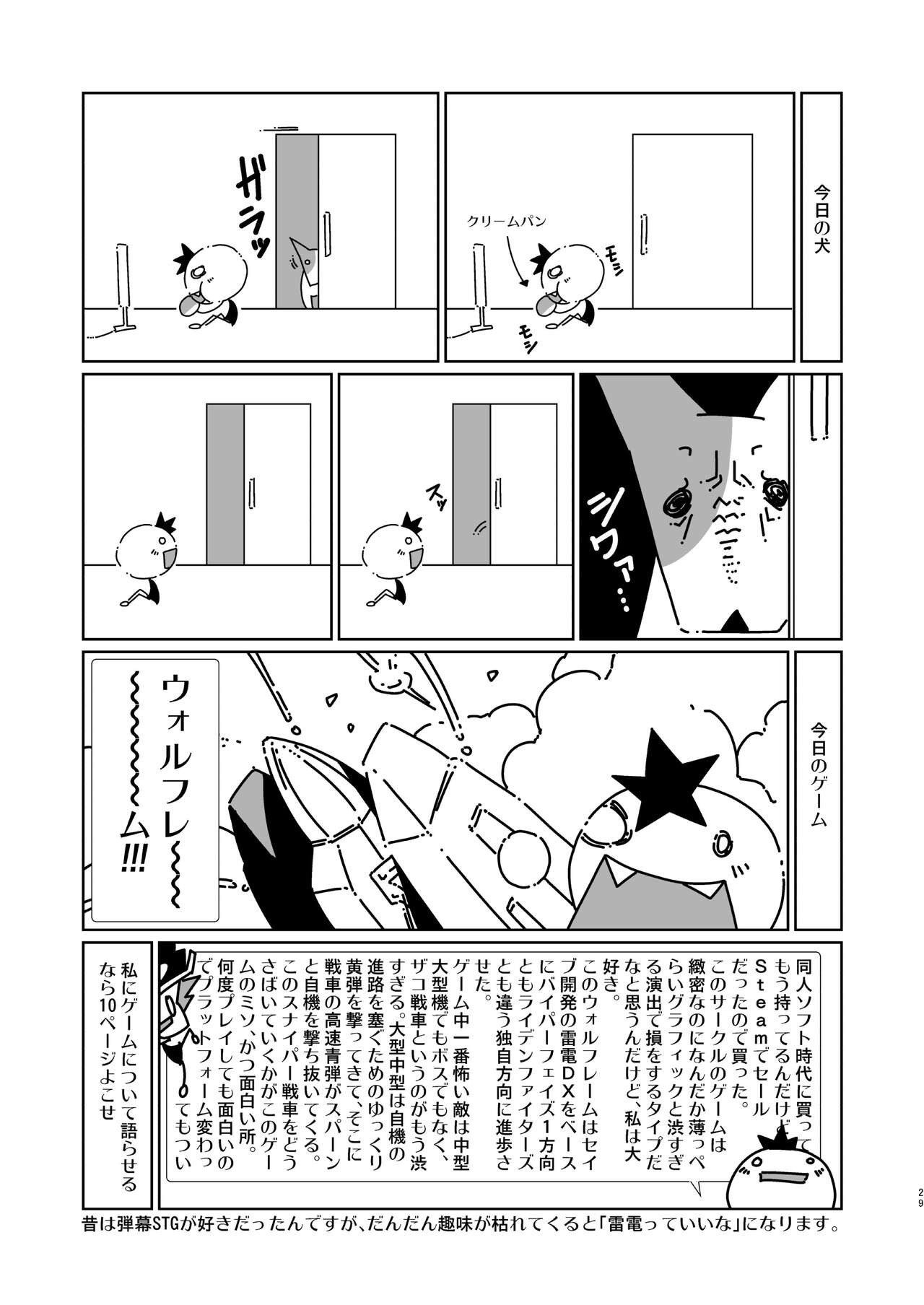 Page 29