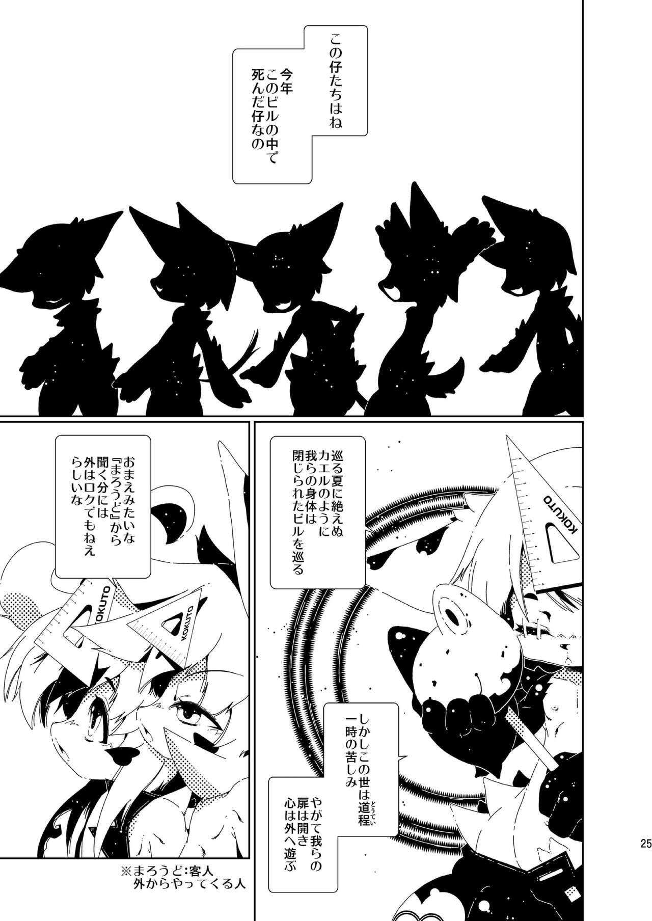 Page 25