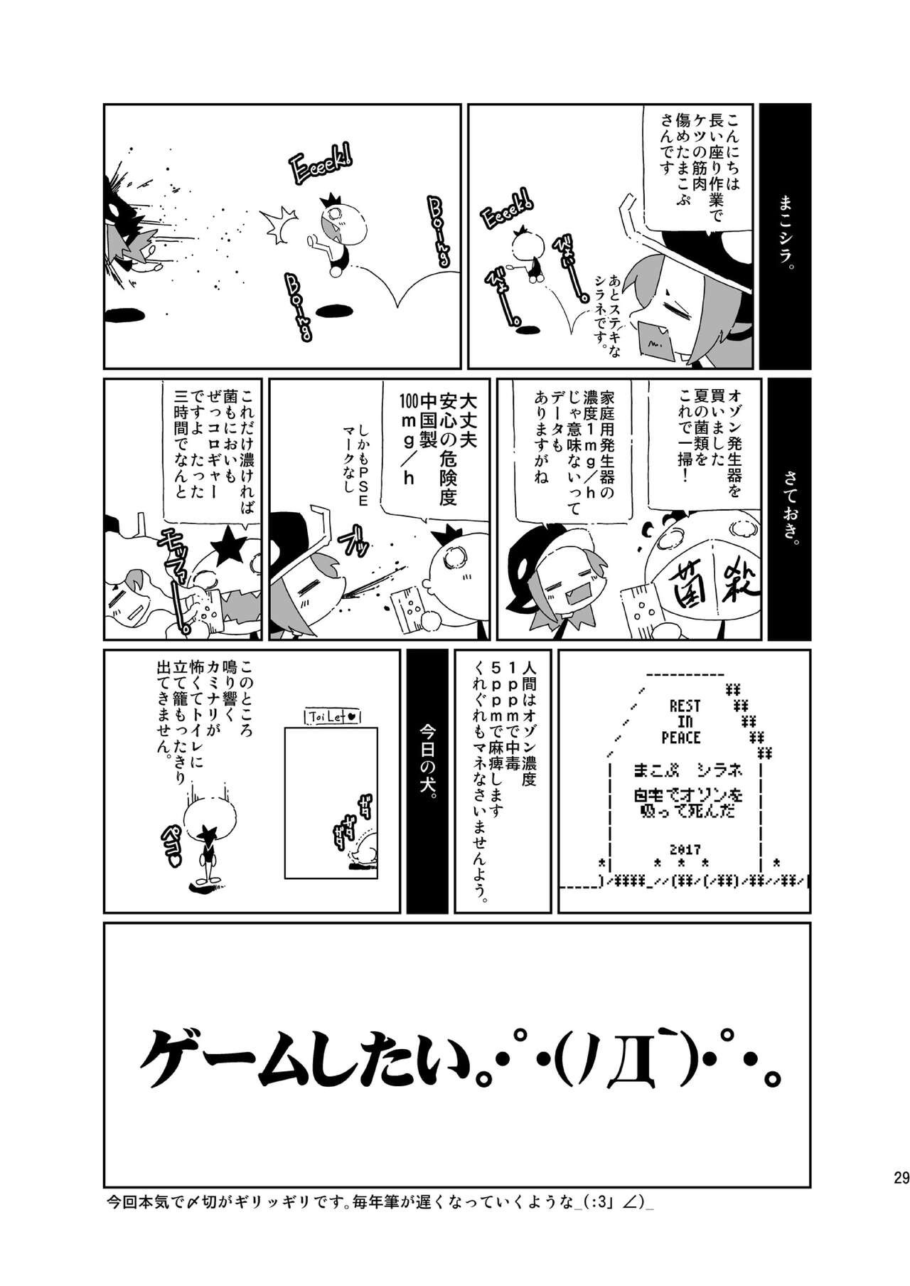 Page 29