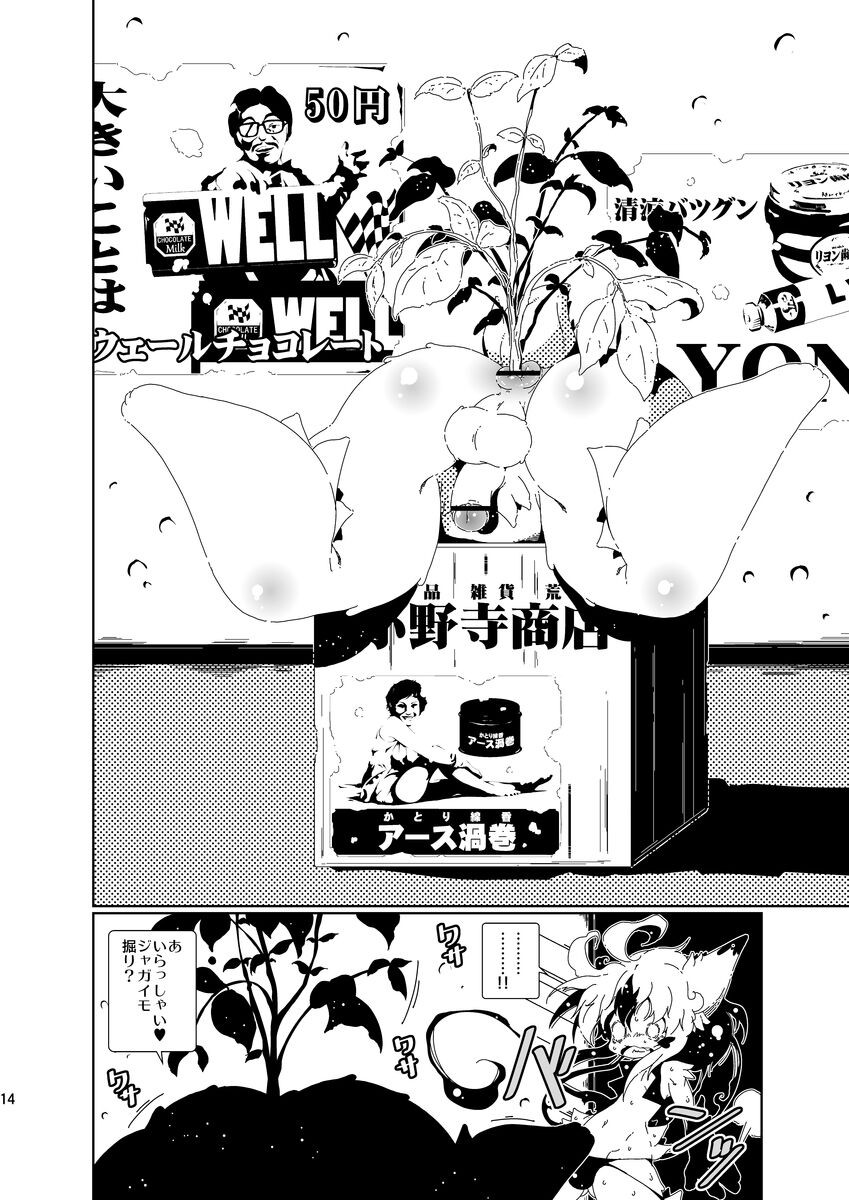 Page 14