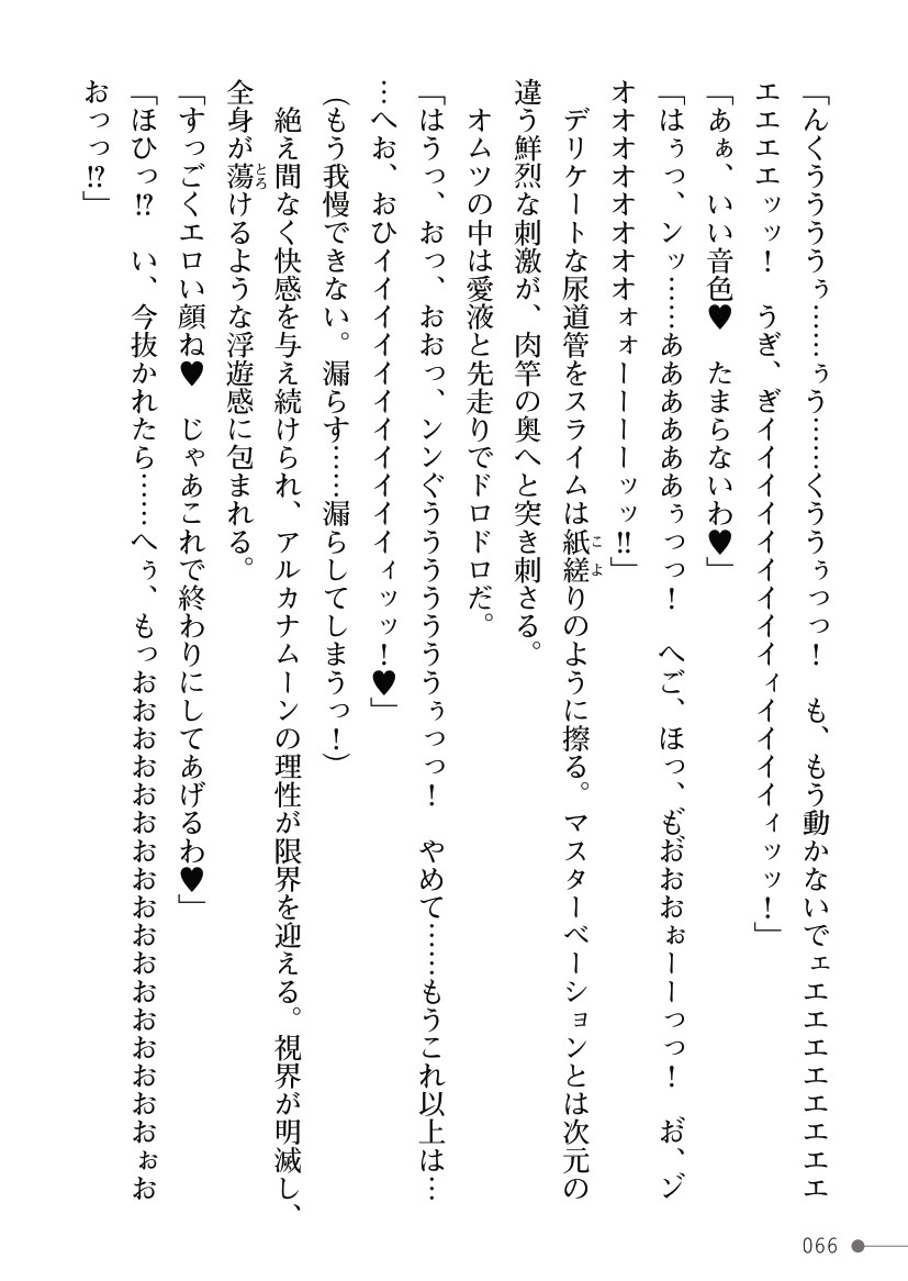 Page 66
