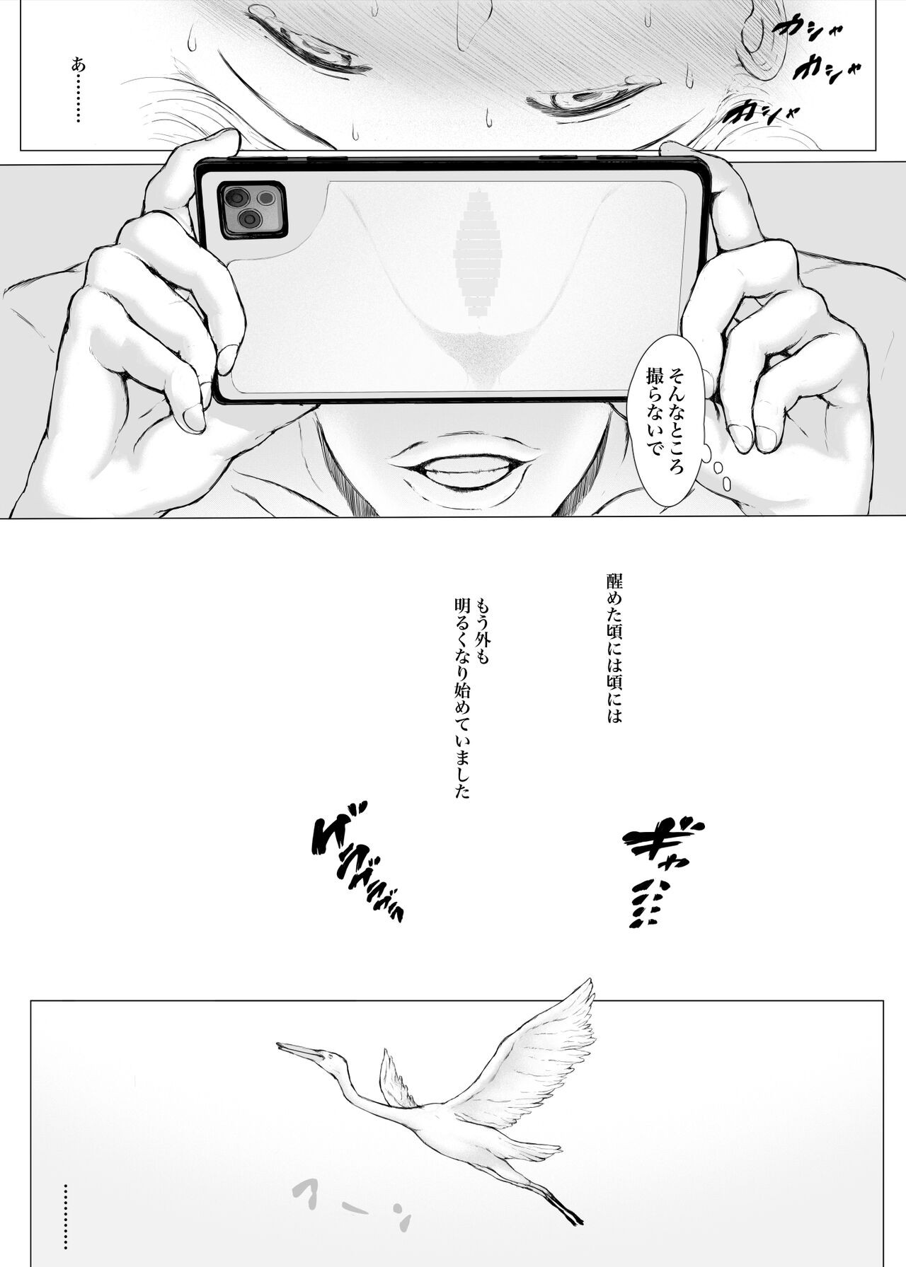 Page 264