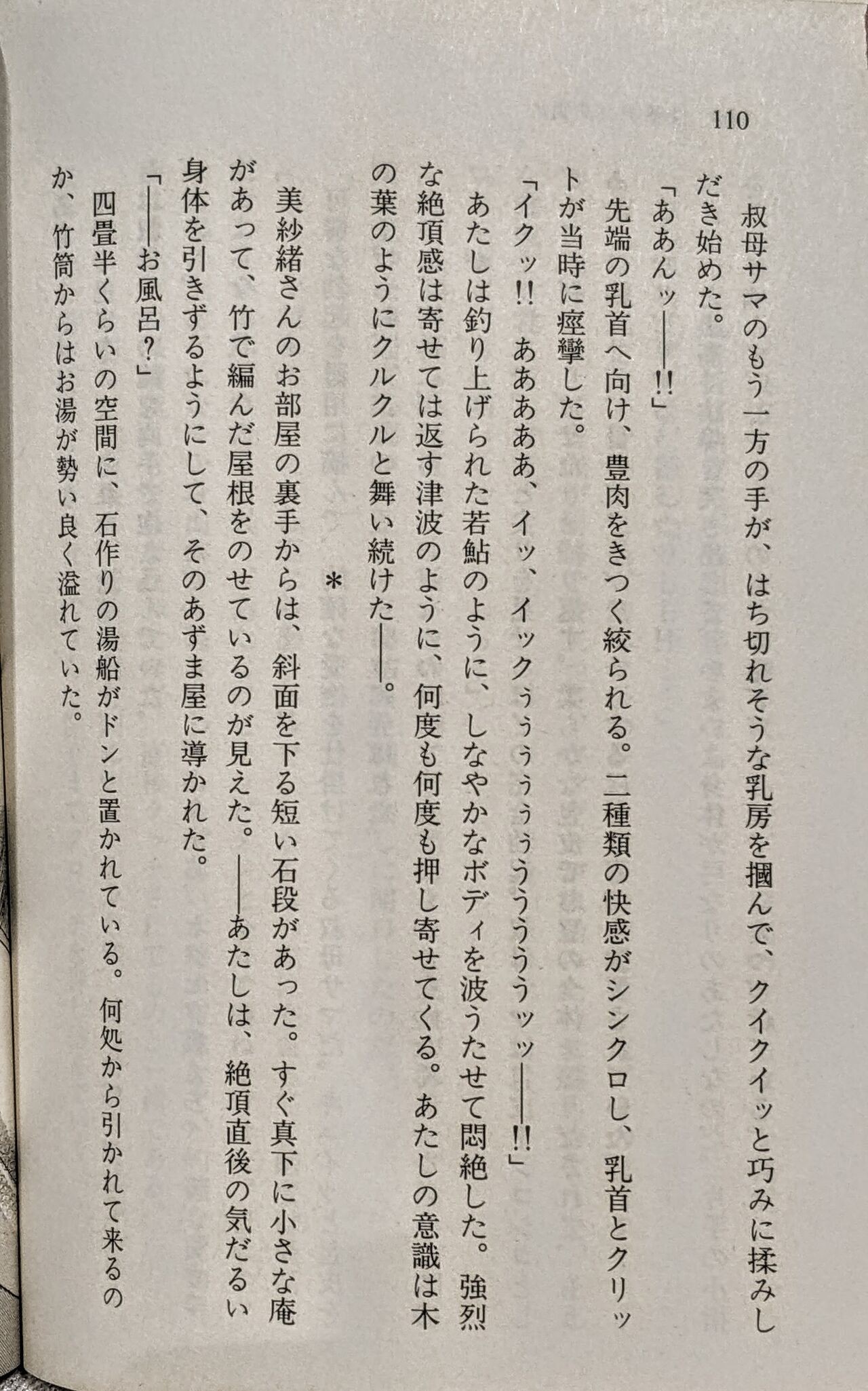 Page 111