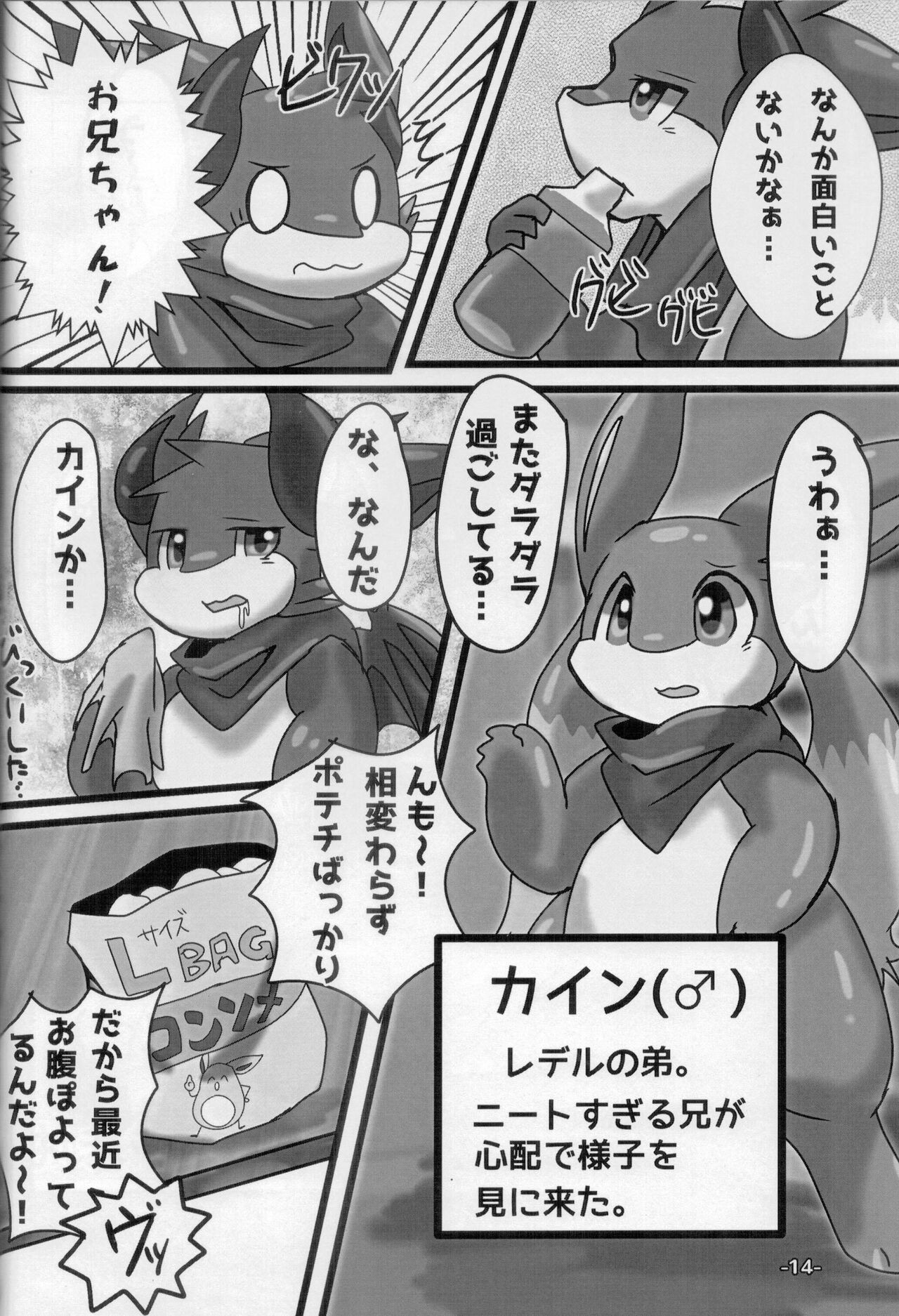 Page 13