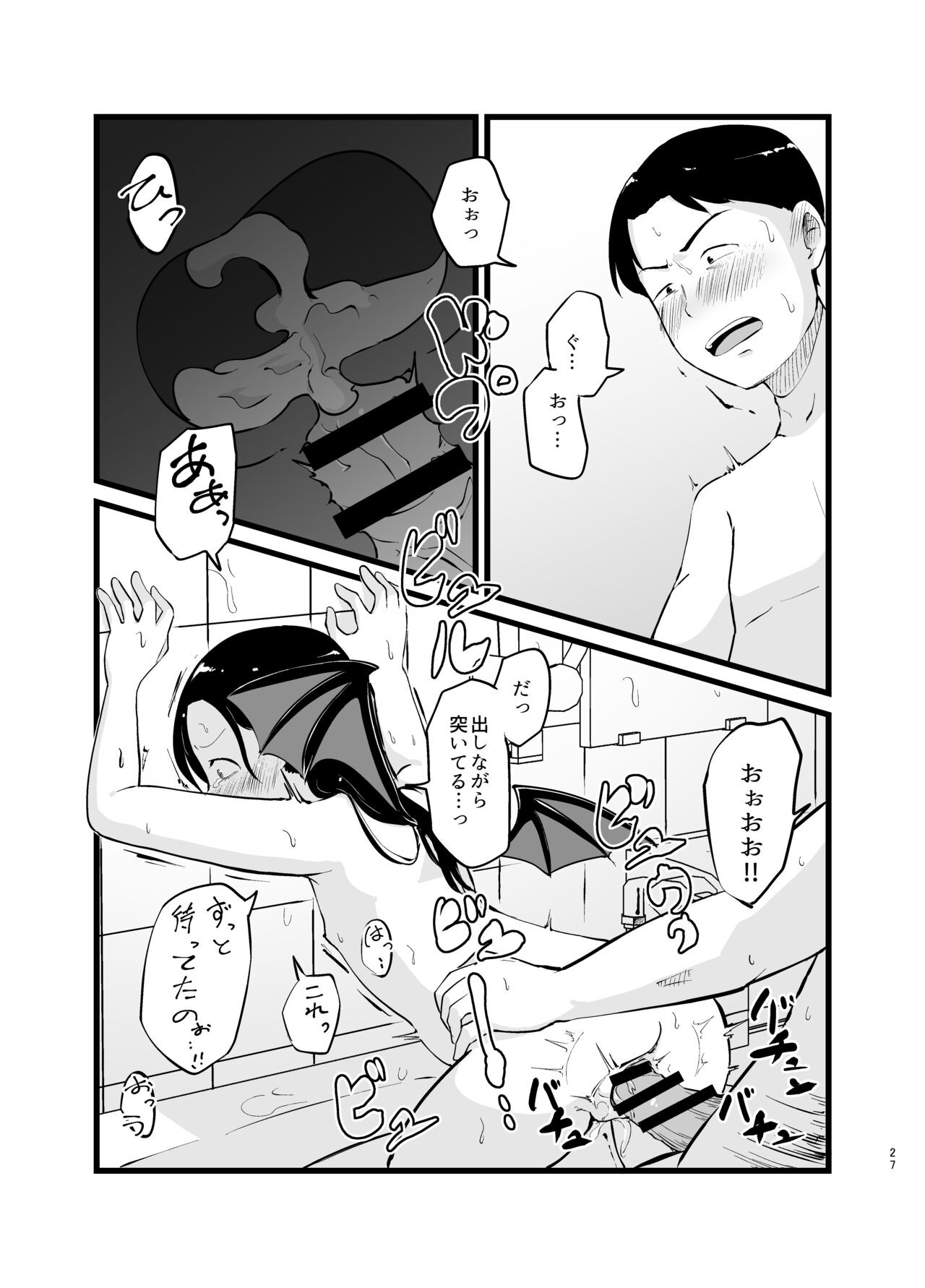 Page 27