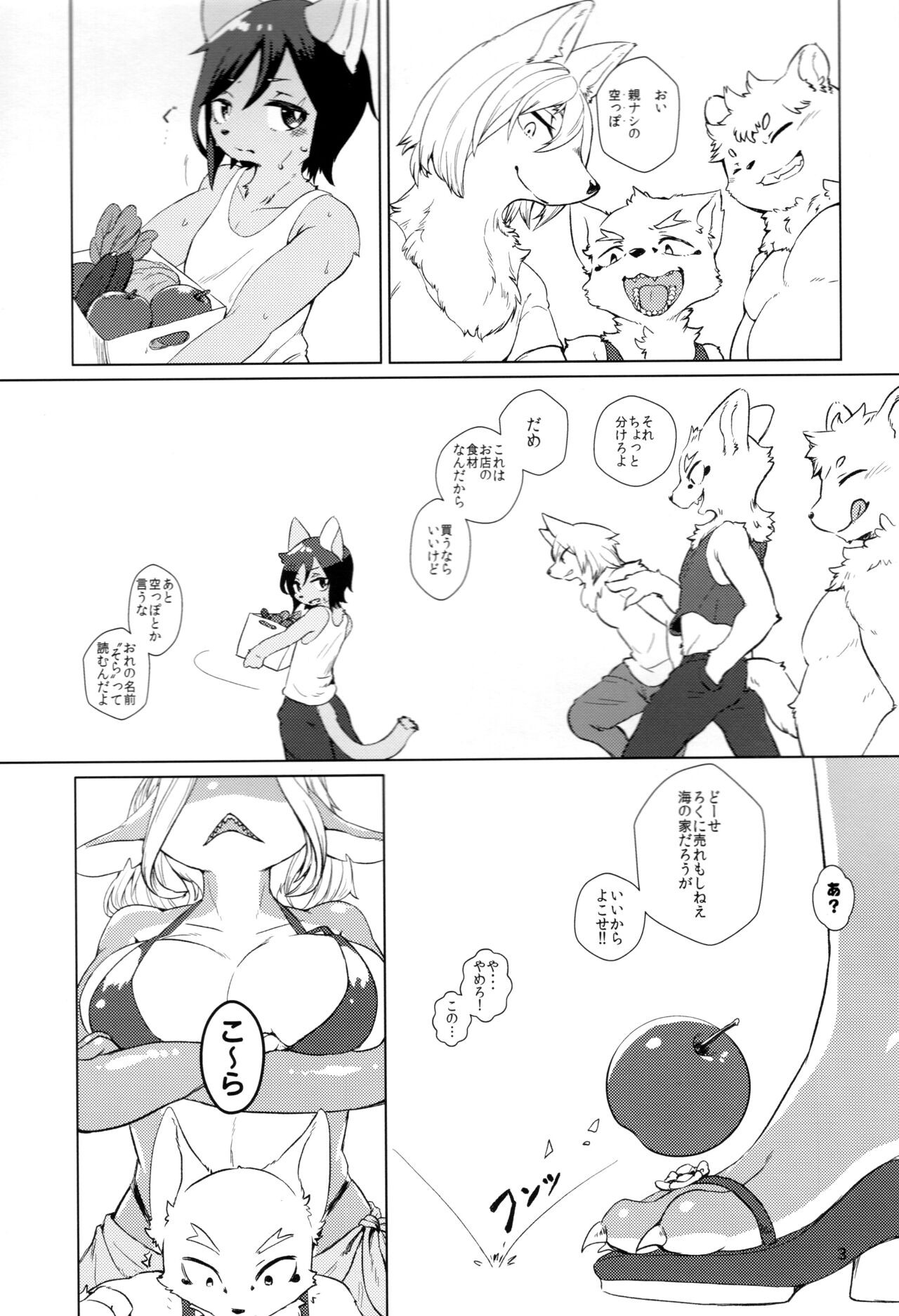 Page 3