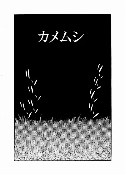 [動物性生活図鑑」シリーズ カメムシ