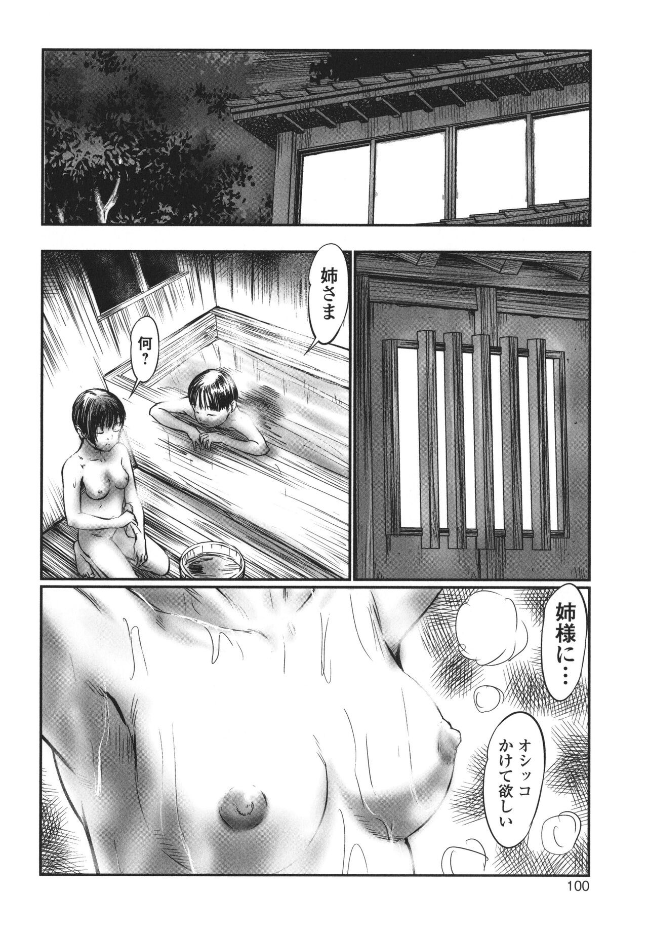Page 101