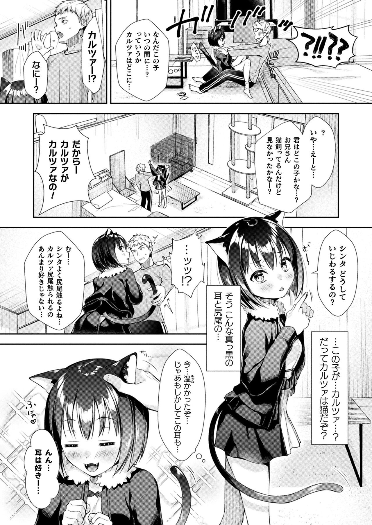 Page 252