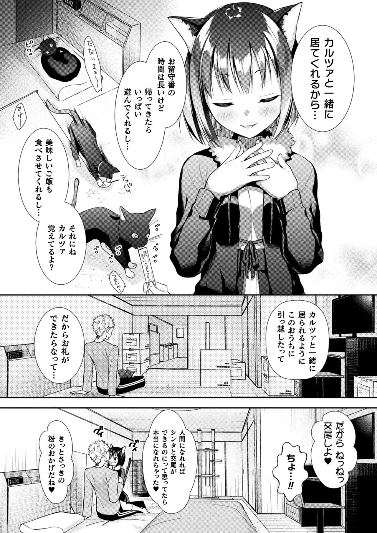 Page 254