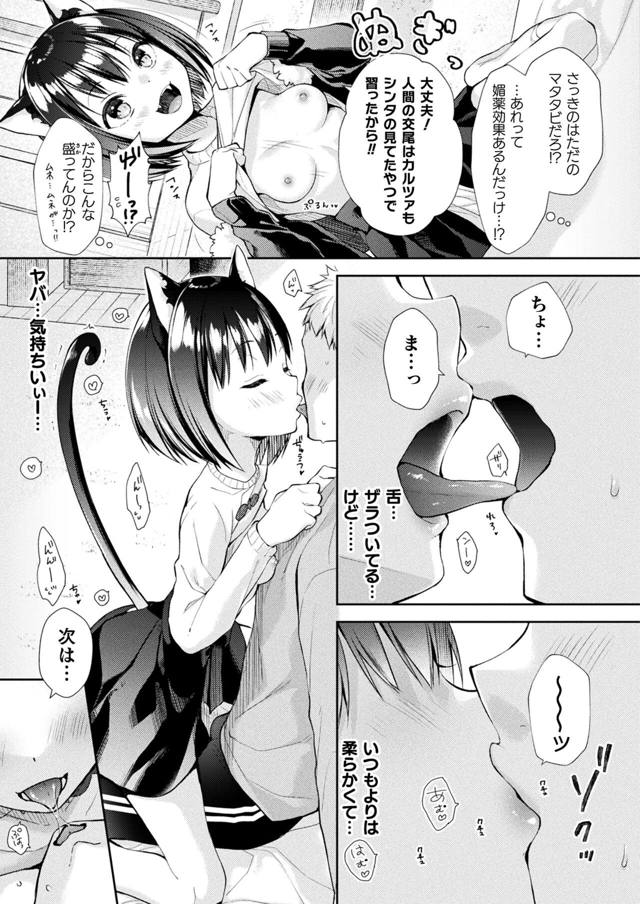 Page 255