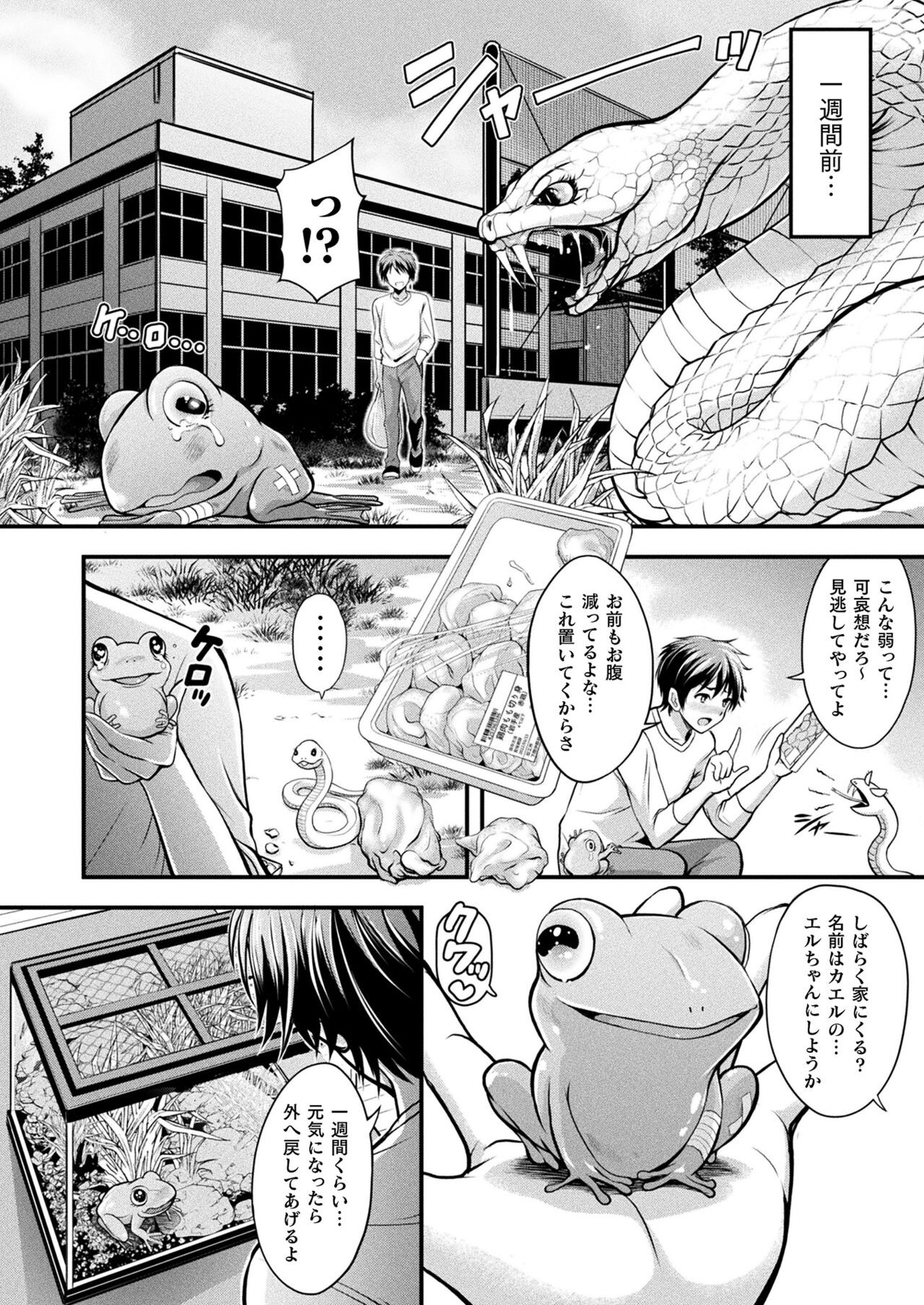 Page 292
