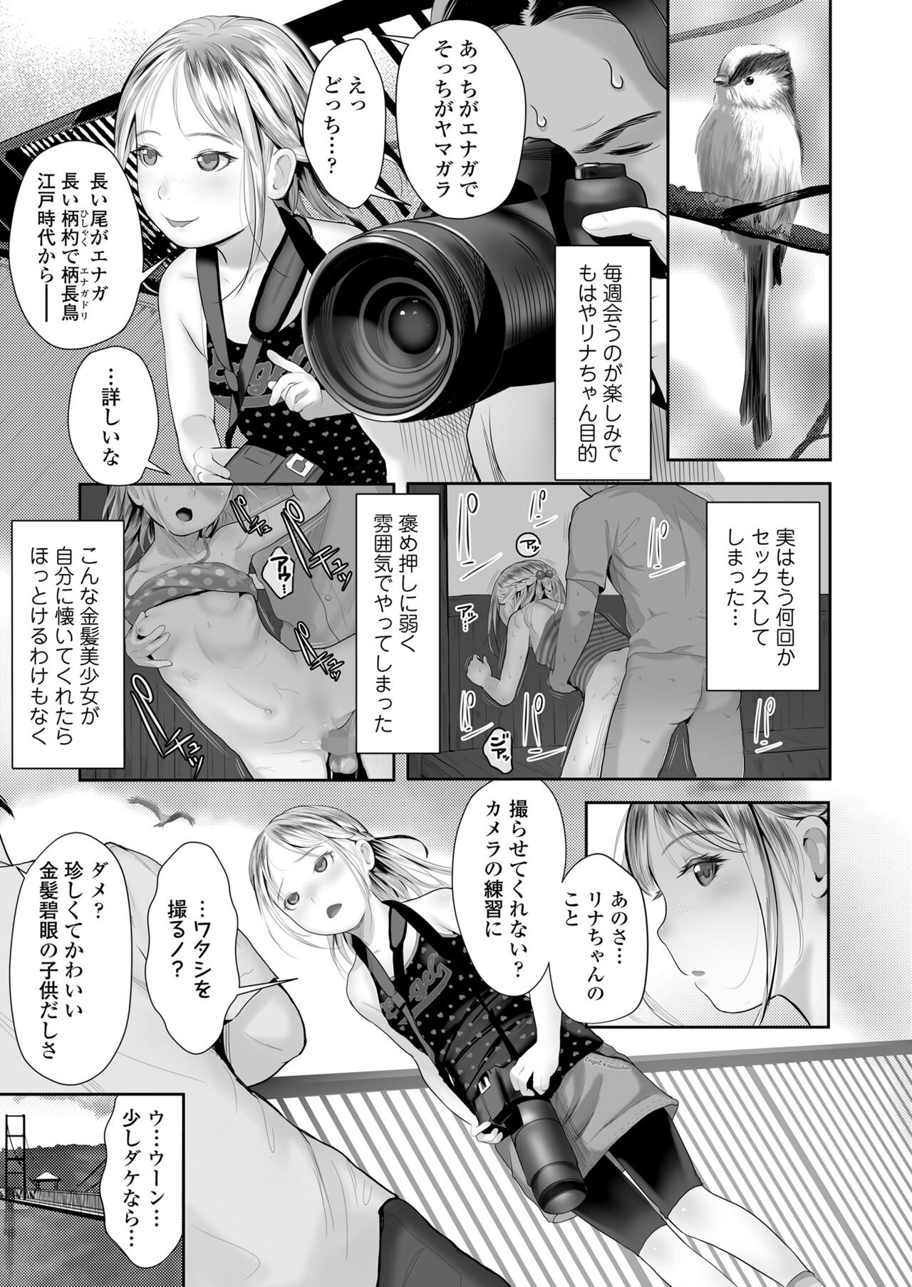 Page 333